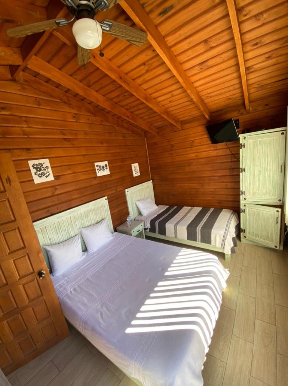 Standard Twin Room - Photo 1