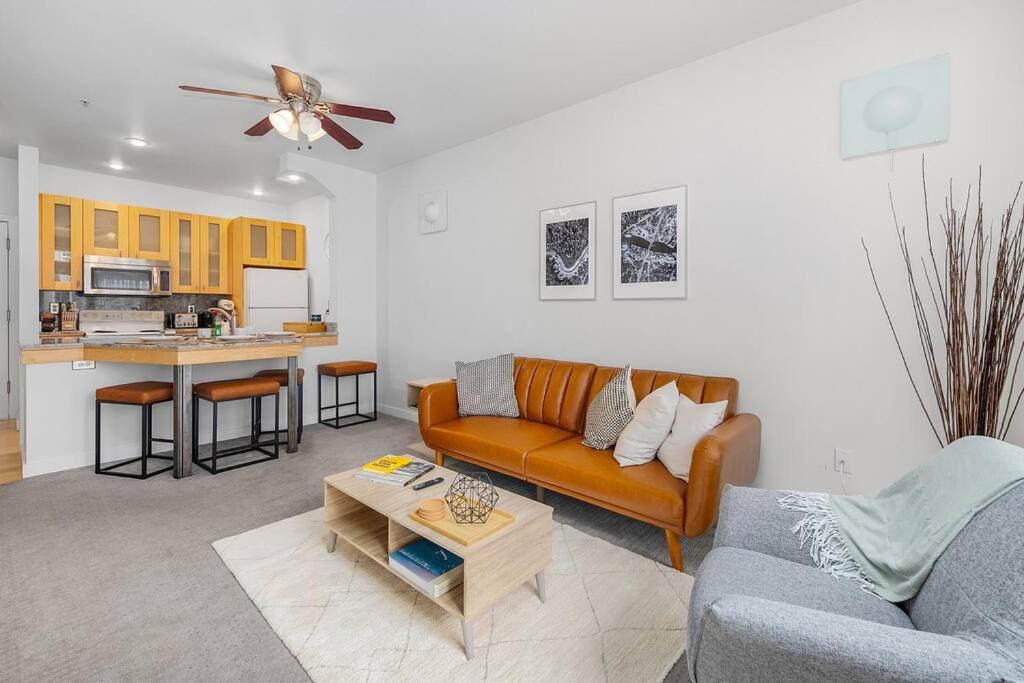 One-Bedroom Apartment photo 3