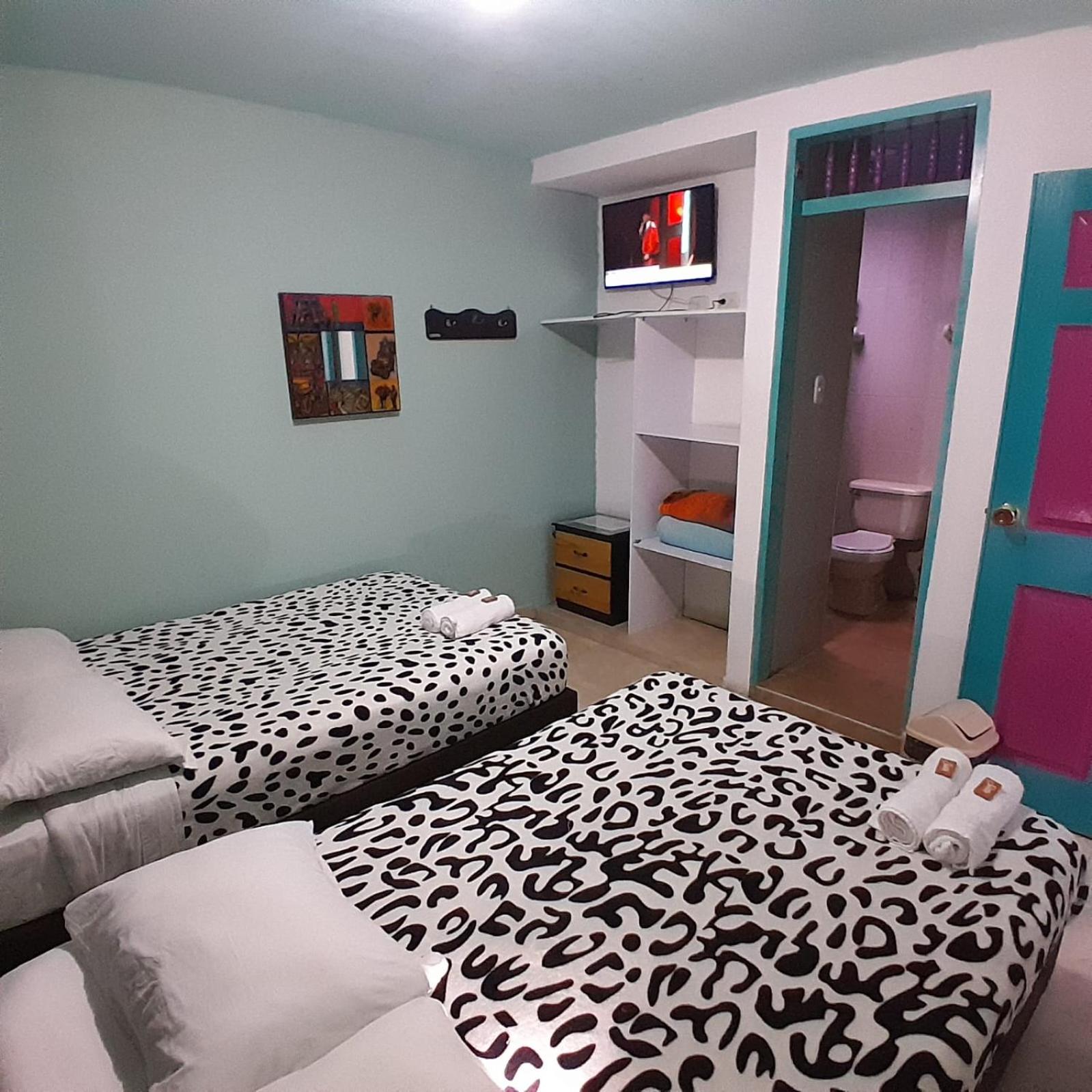 Double or Twin Room photo 1