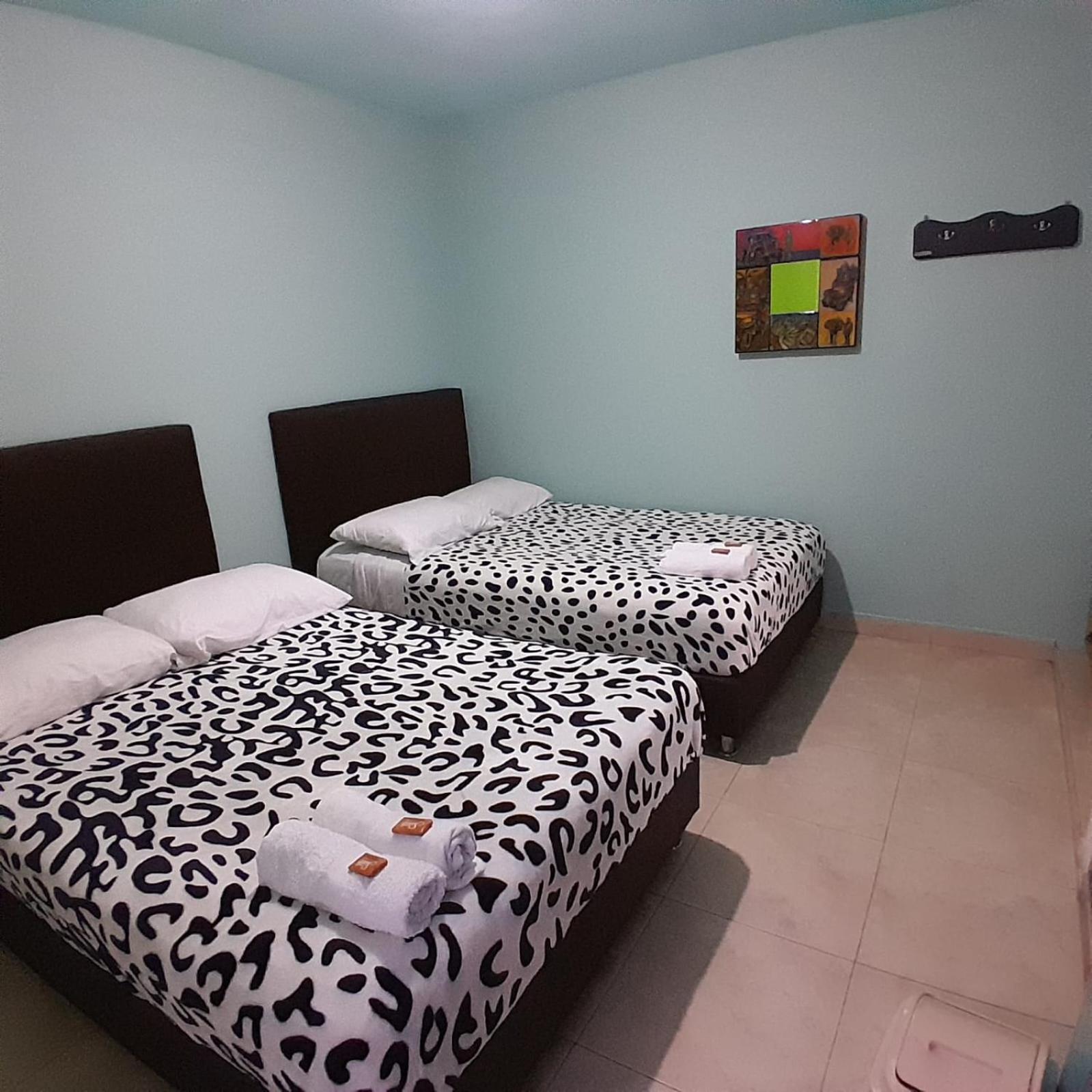 Double or Twin Room photo 3