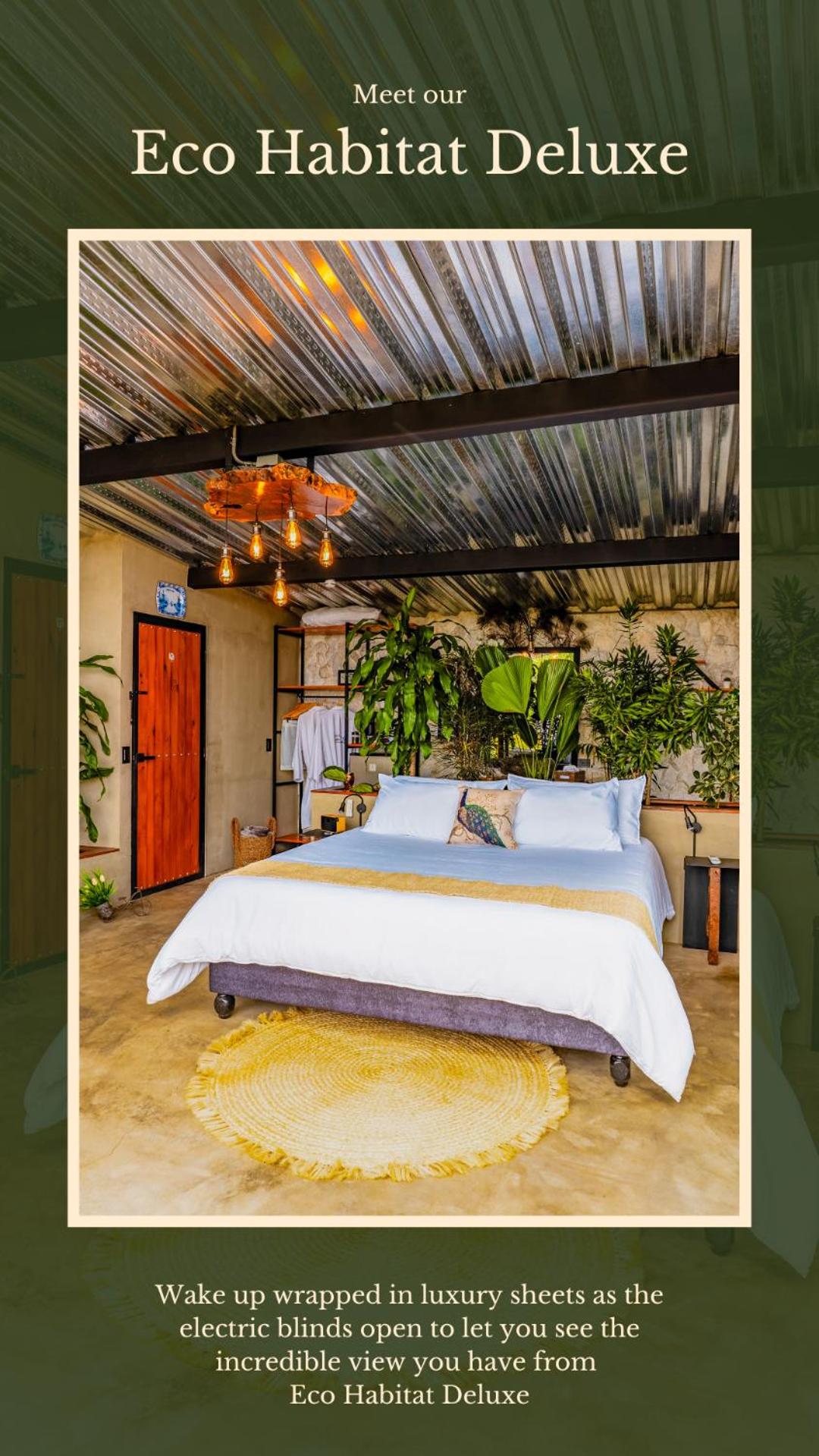 Deluxe Suite with Spa Bath