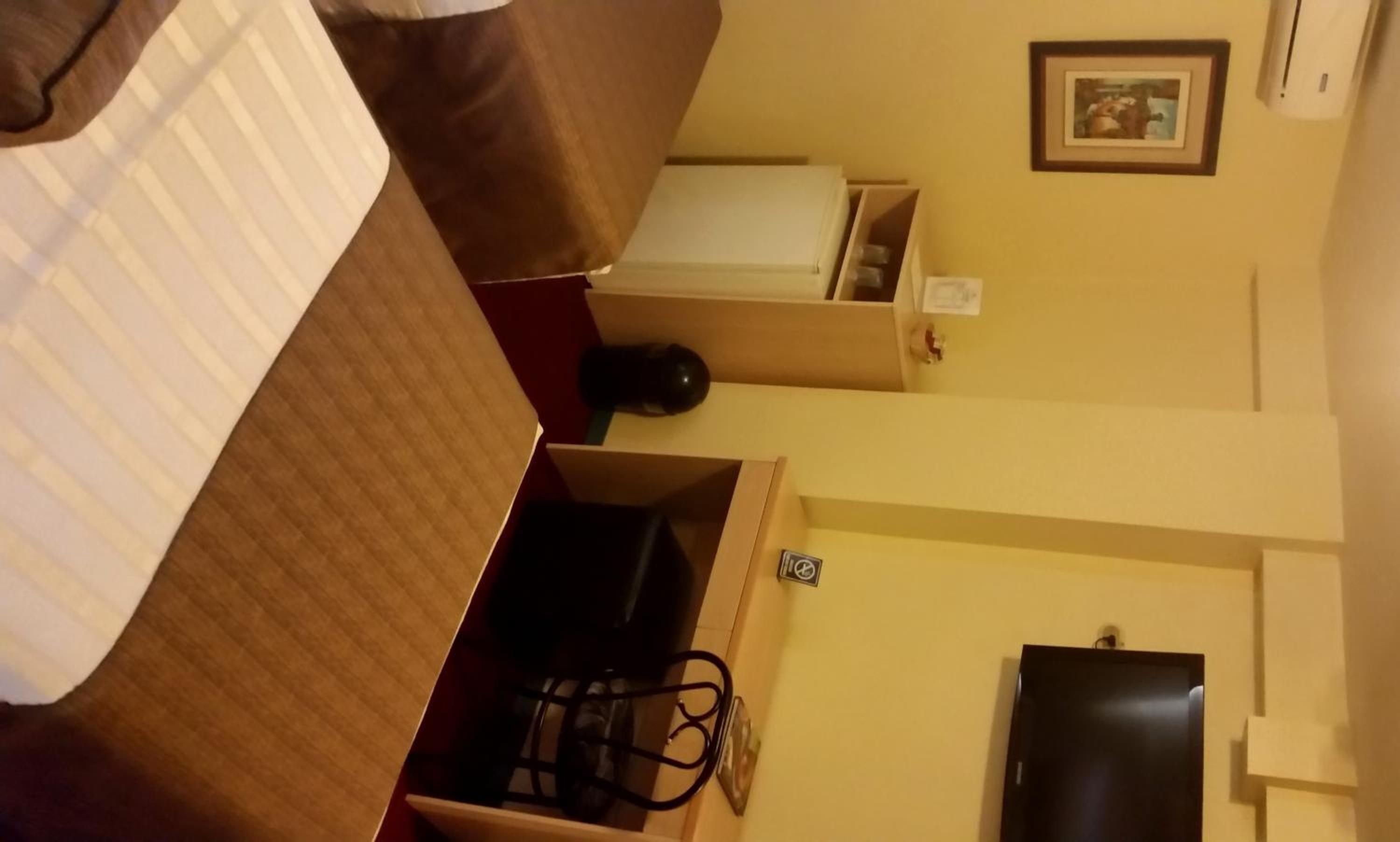Standard Twin Room photo 3