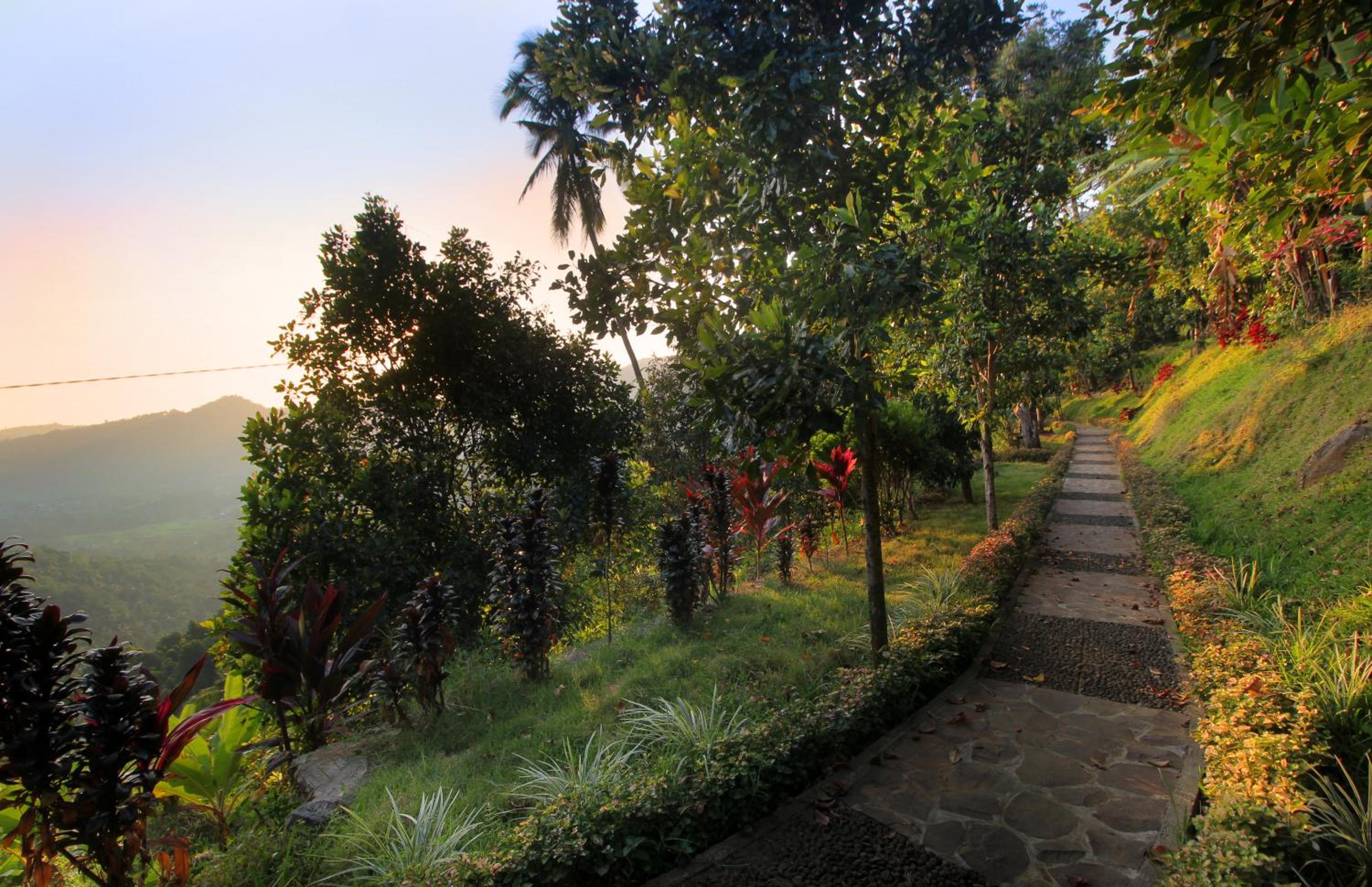 Standard Double Room with Garden View - Photo 9