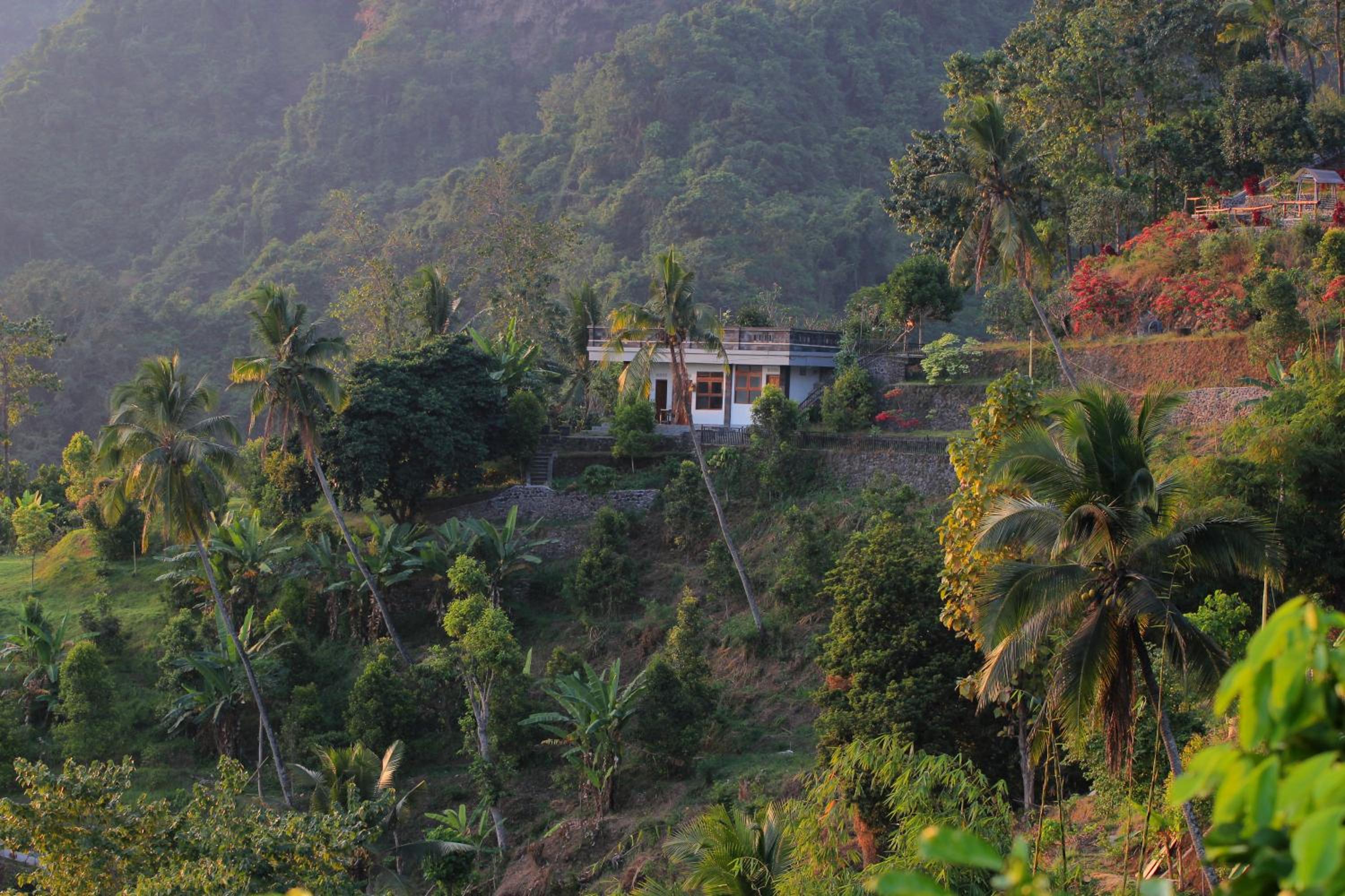 Traditional Balinese Lumbung House with Shared Toilet - Photo 18