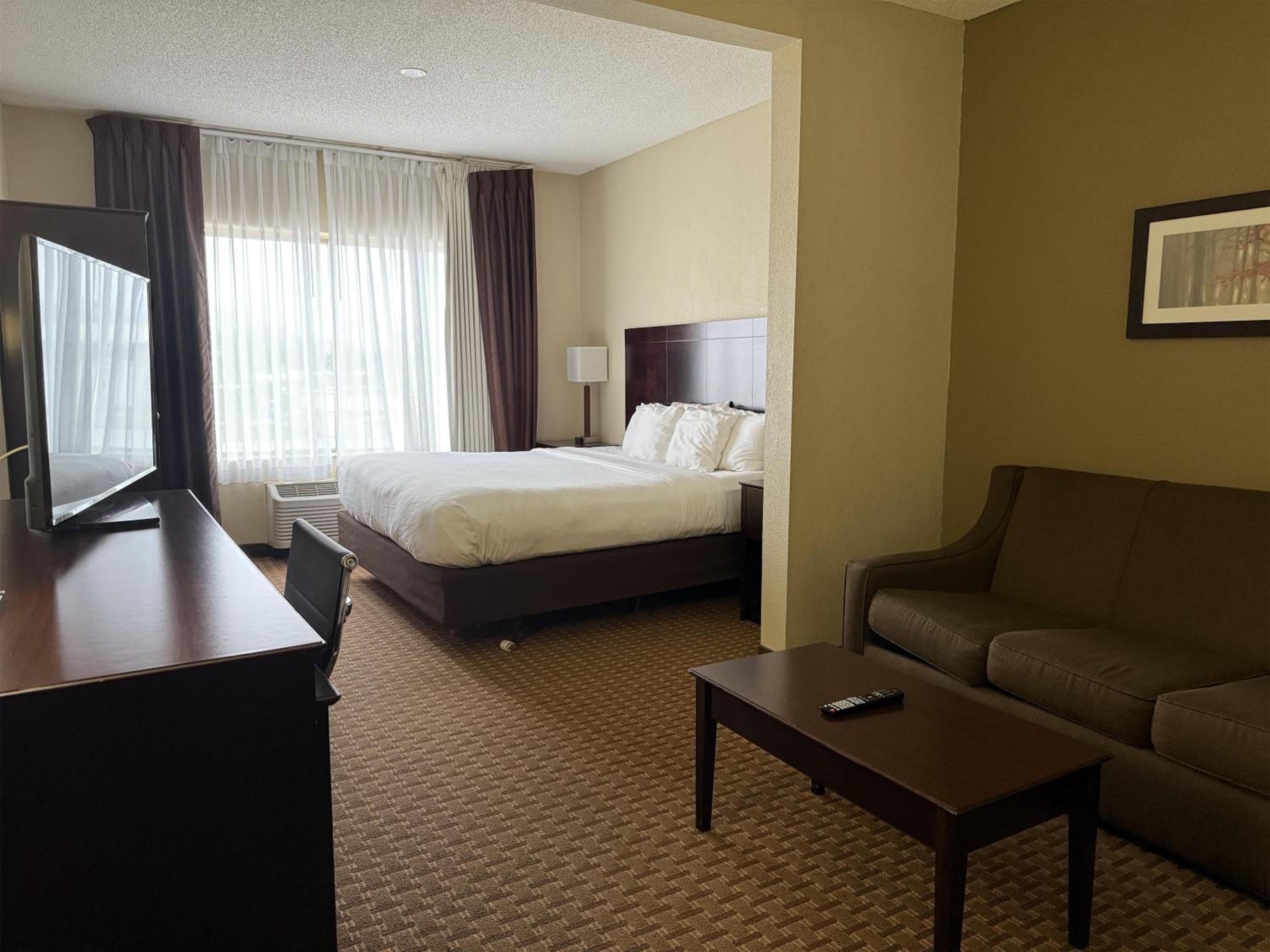 King Suite with Sofa Bed and Shower Only - Non-Smoking
