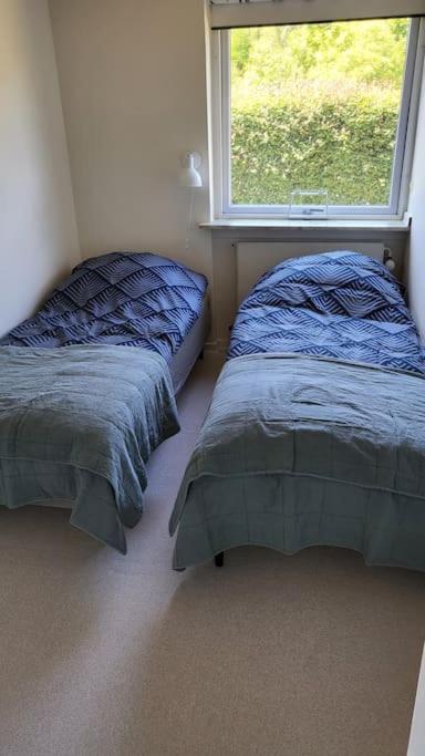 Three-Bedroom Villa photo 1