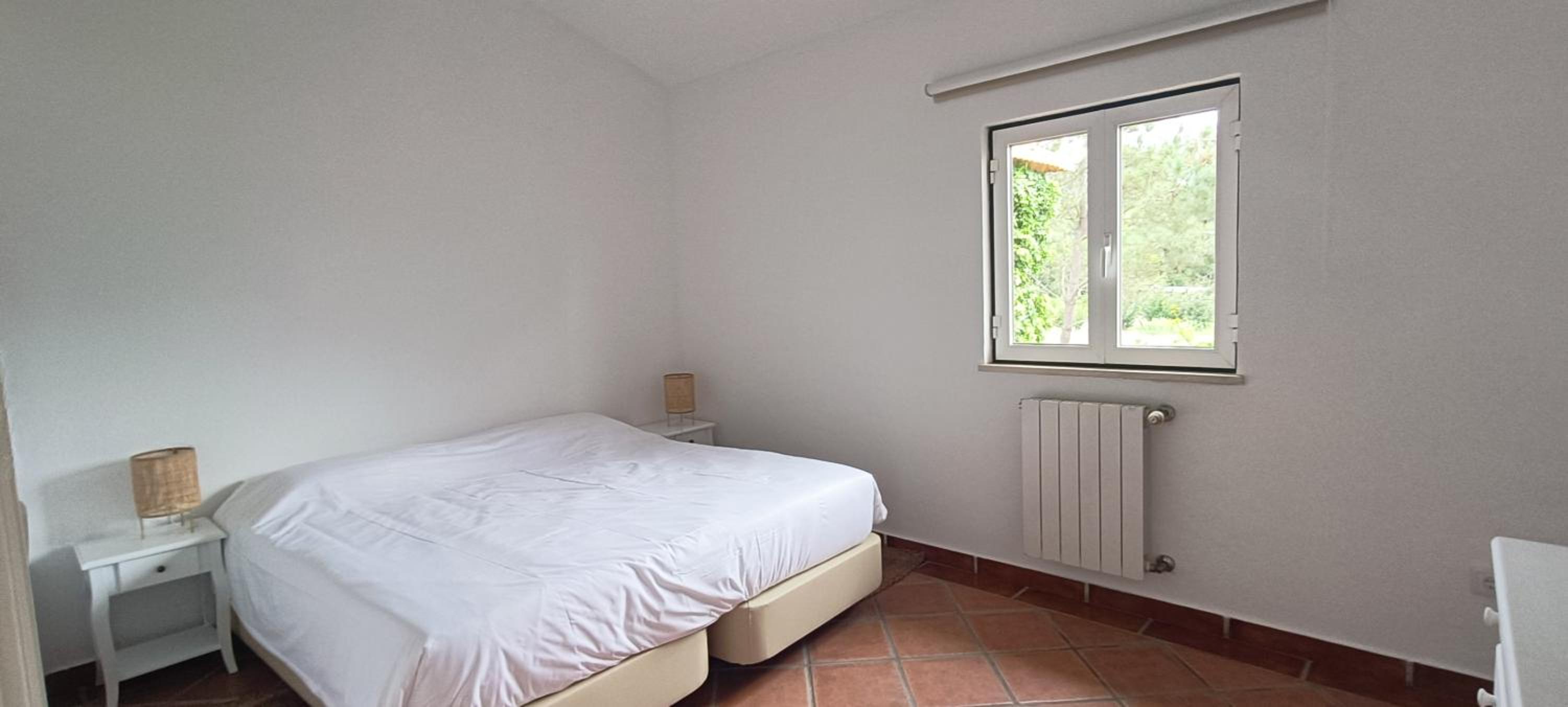 Apartment with Terrace photo 2
