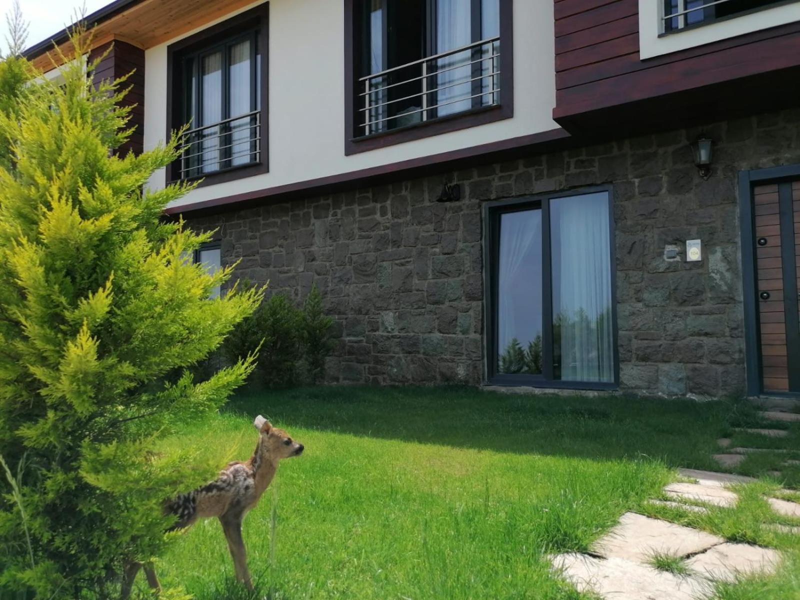 Two-Bedroom Villa with Sea View - Photo 23