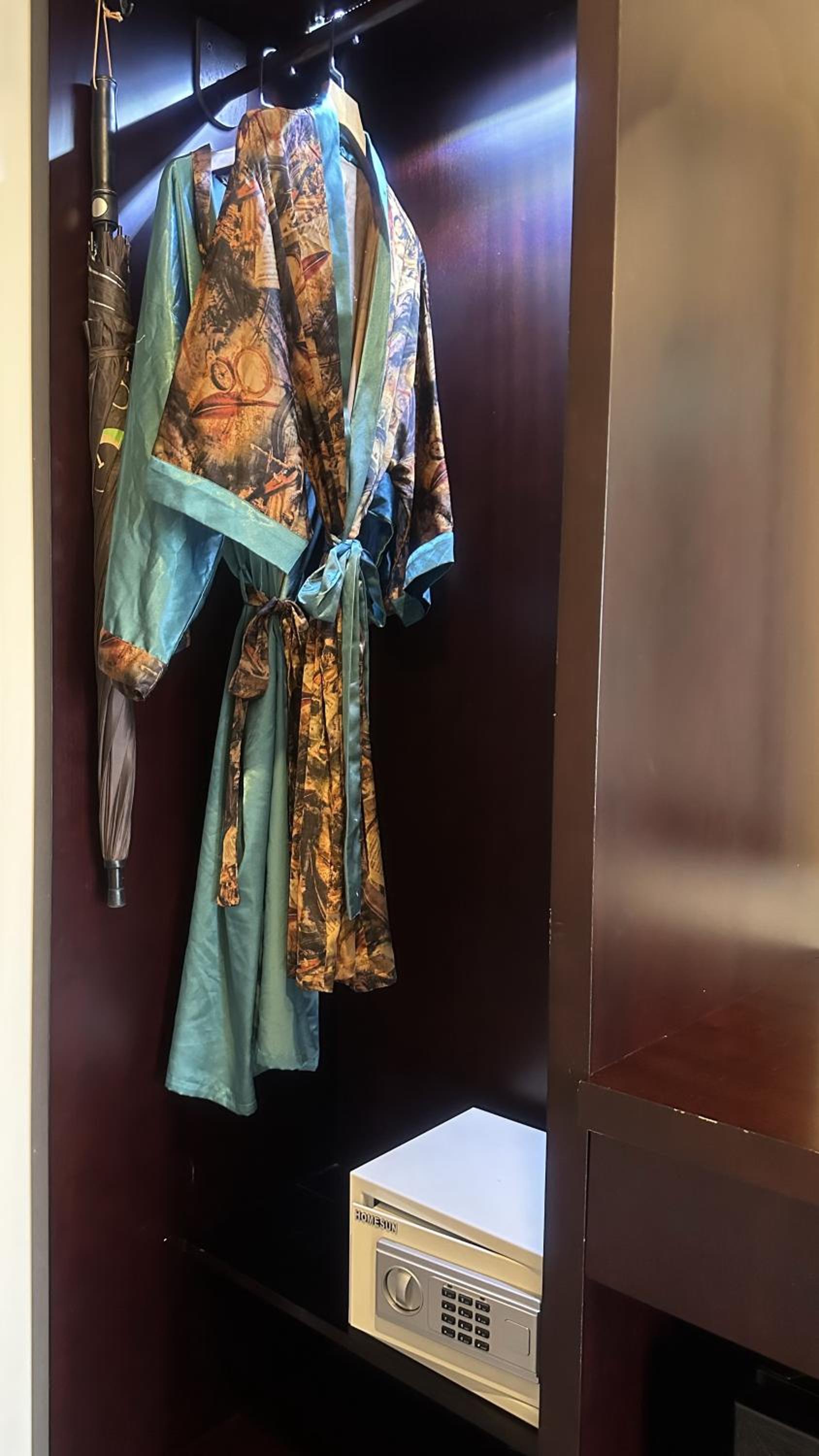 Superior Double or Twin Room with City View photo 3