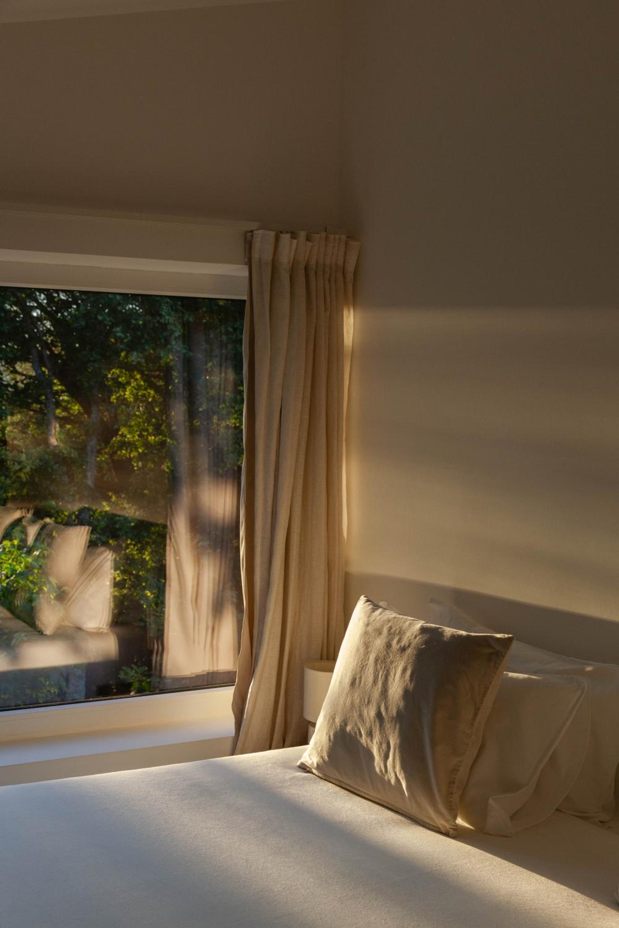 Suite - Photo 1