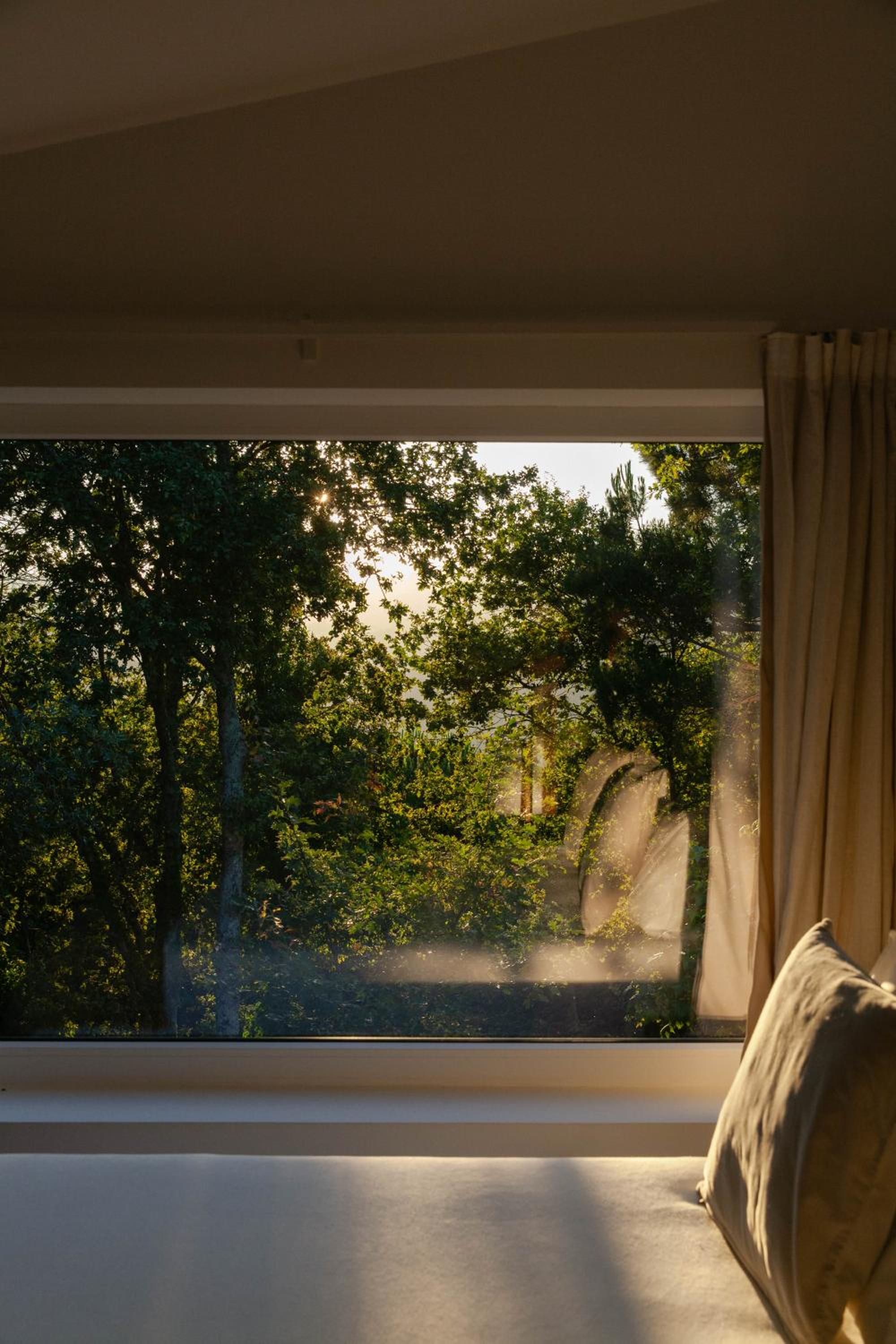 Suite - Photo 2
