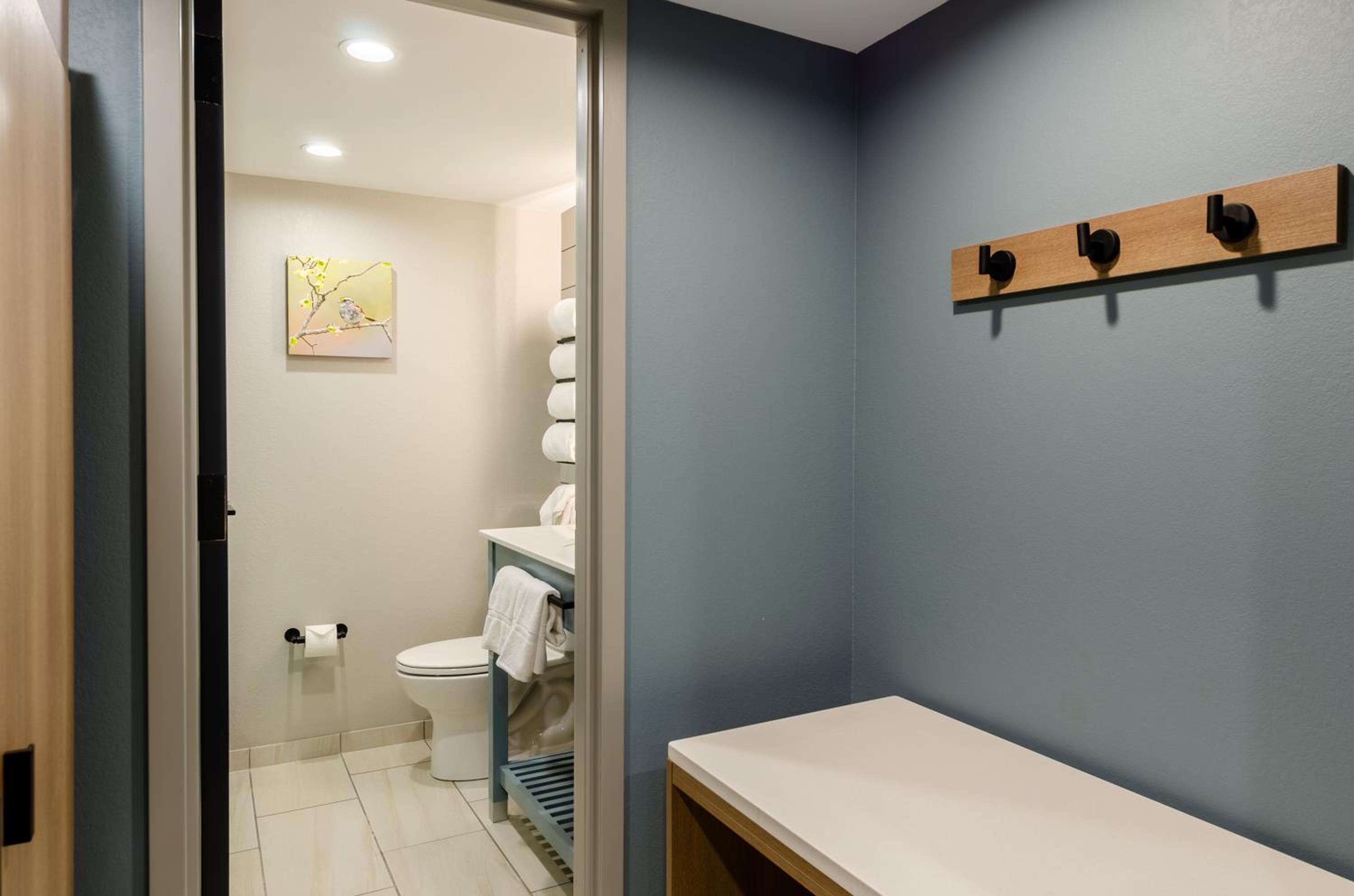 Deluxe King Suite photo 2
