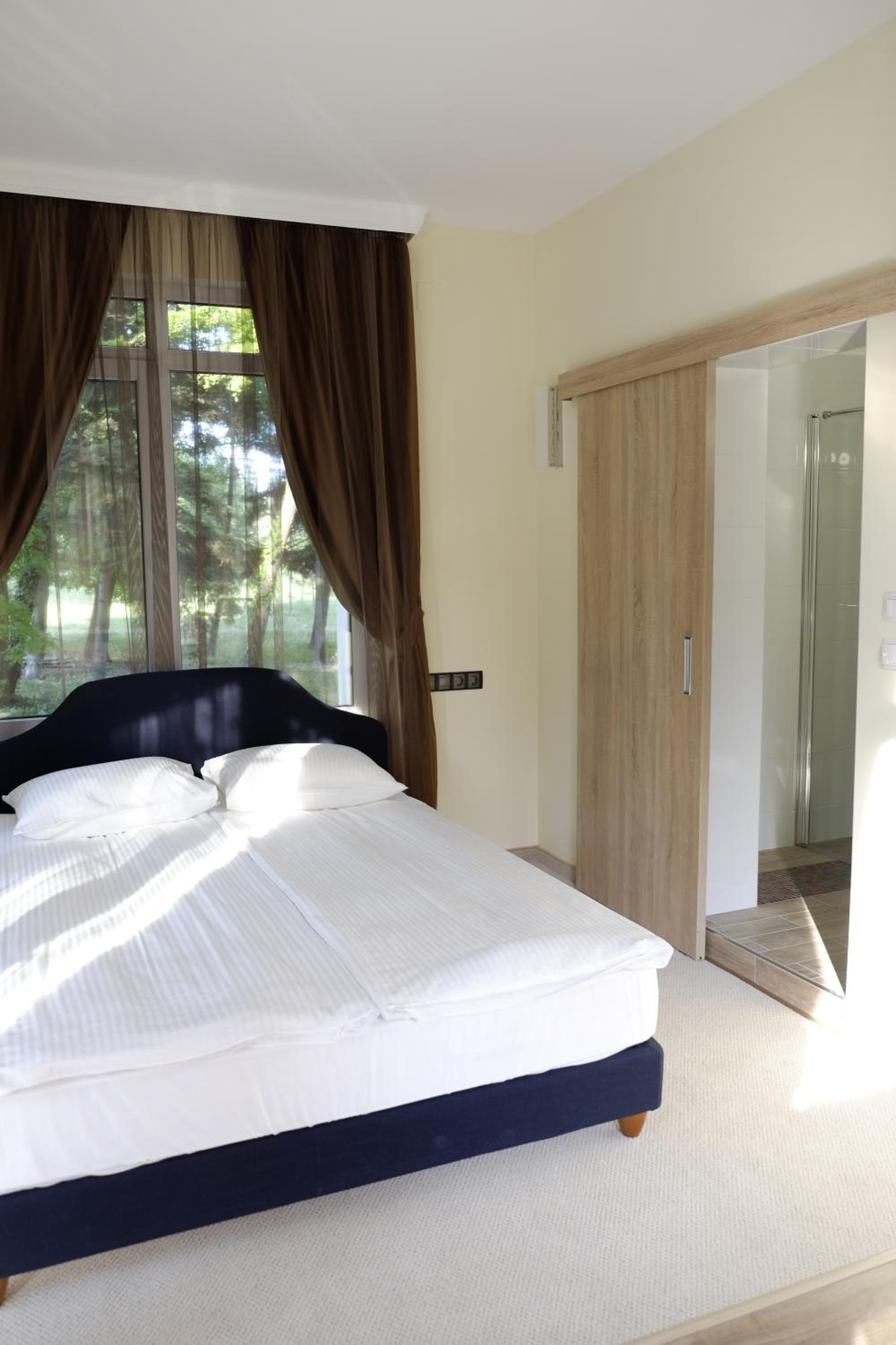Deluxe Double or Twin Room photo 3