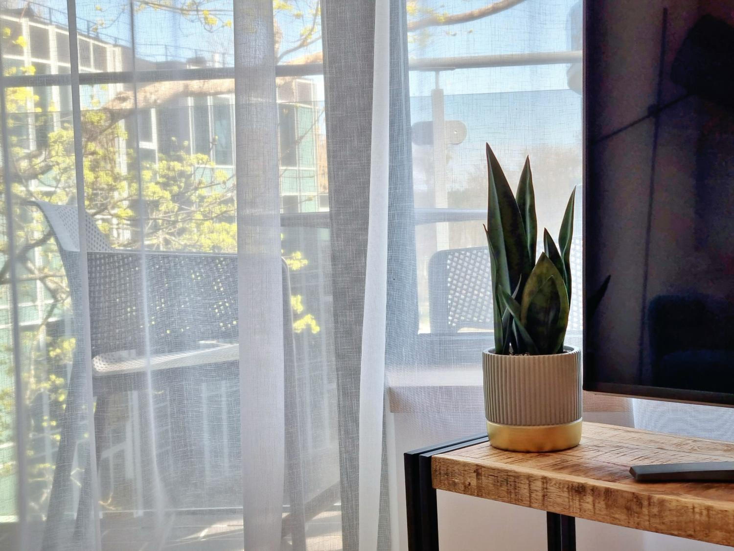 One-Bedroom Apartment - Photo 6