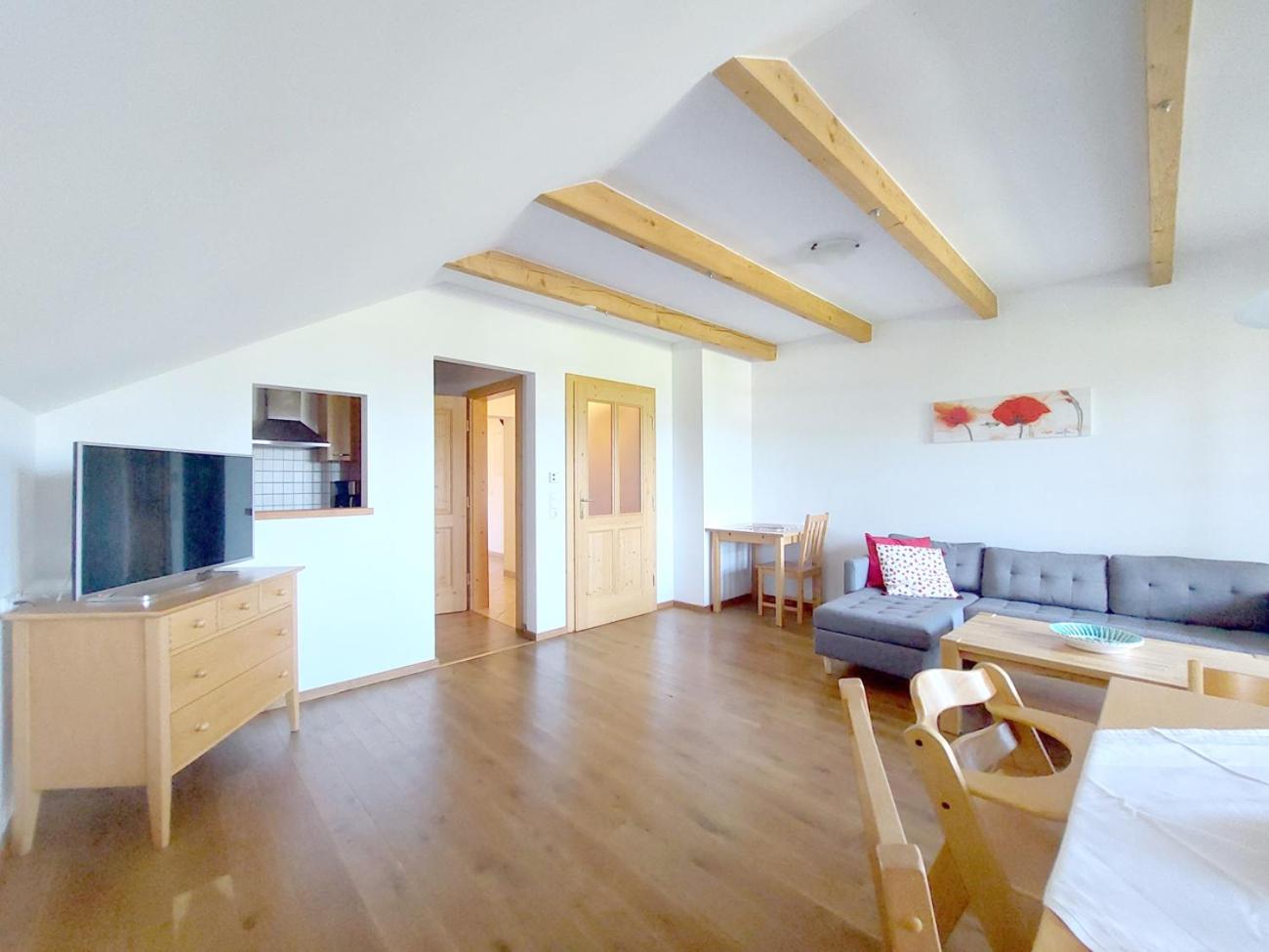 Large Two-Bedroom Apartment