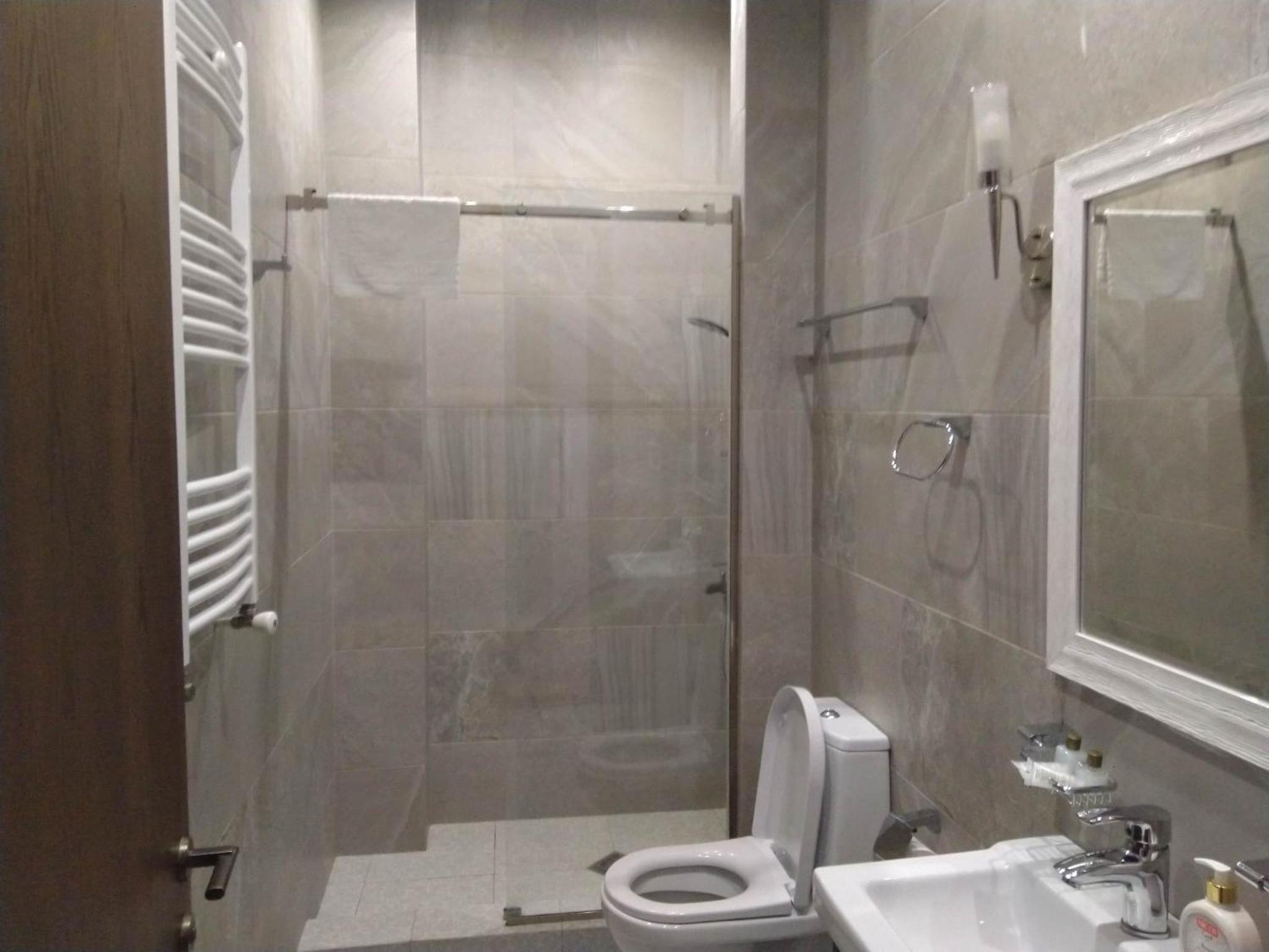 Deluxe Double or Twin Room with City View photo 2