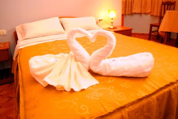 Single Room photo 1