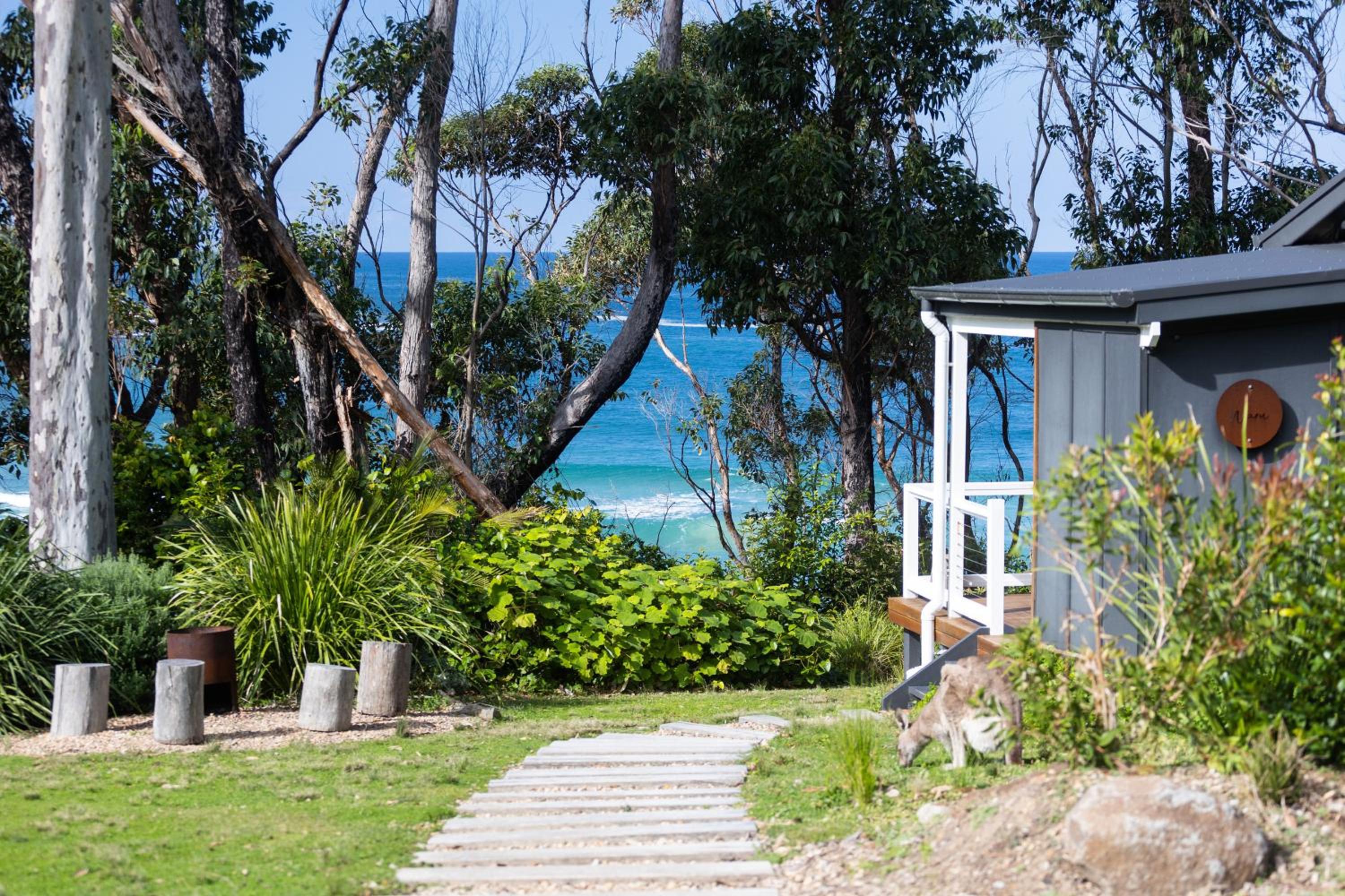 Studio with Ocean View photo 3