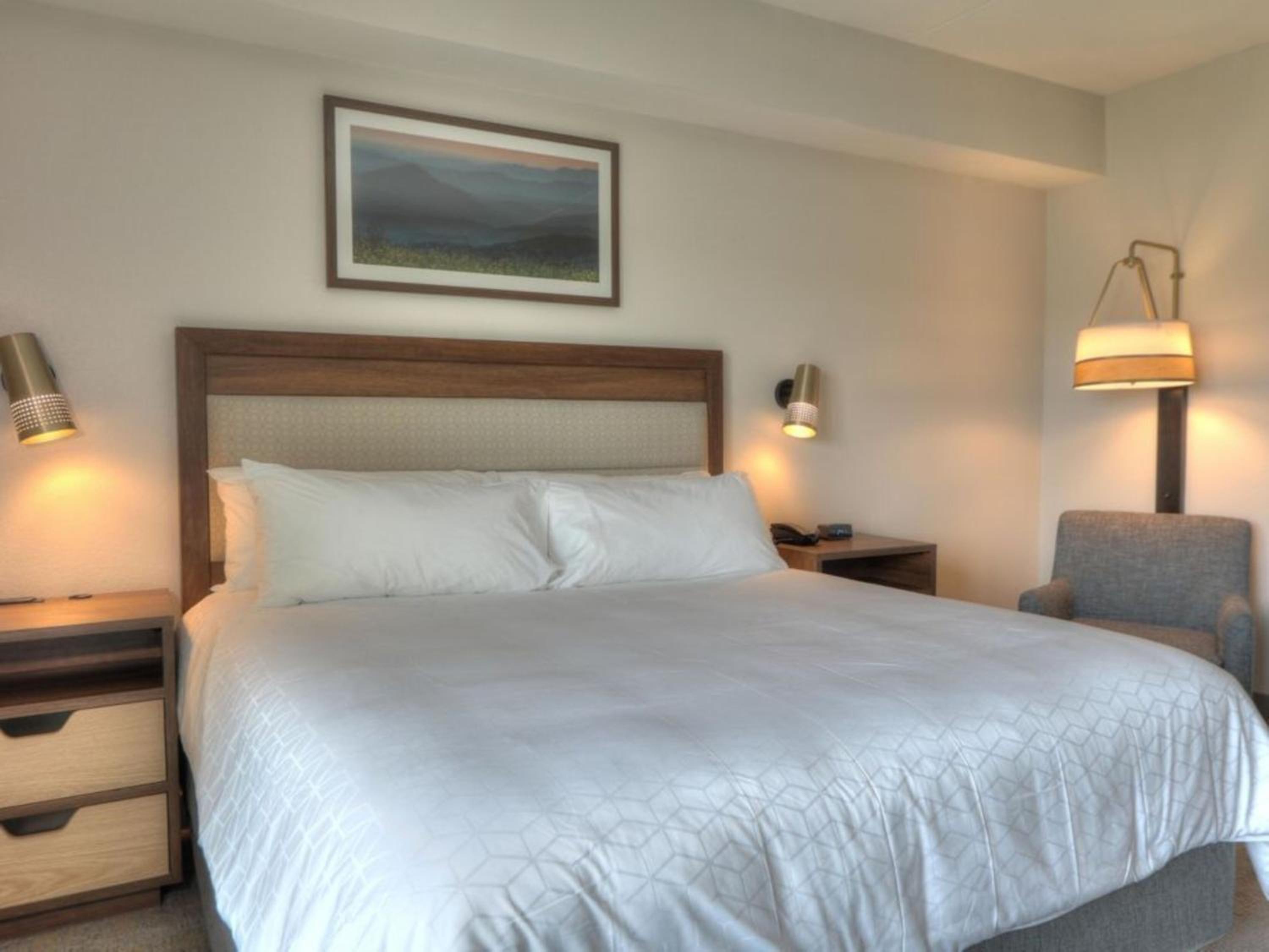 Premium King Room with Transfer Shower - Mobility Accessible - Photo 3