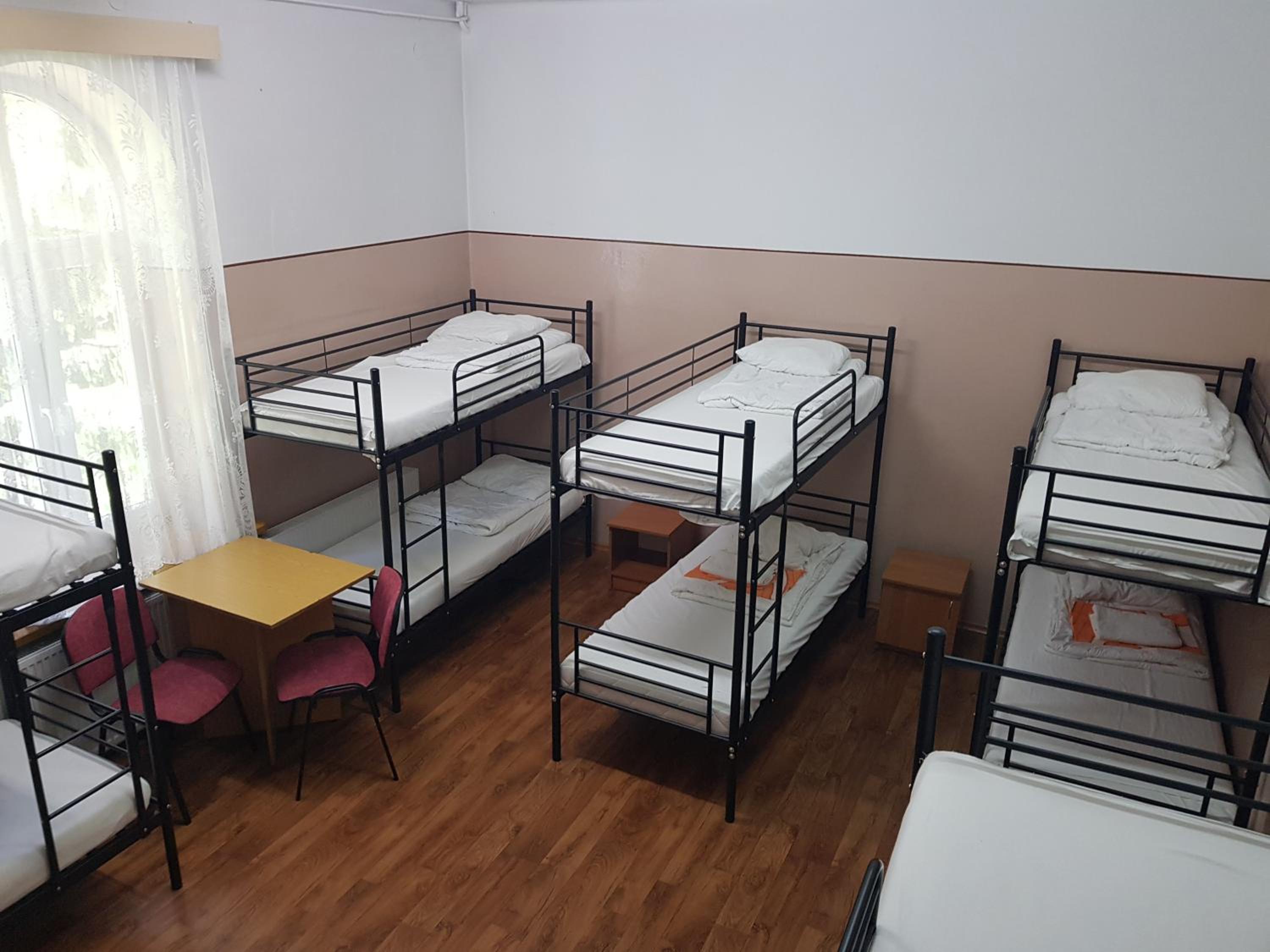 Bunk Bed in Mixed Dormitory Room photo 3