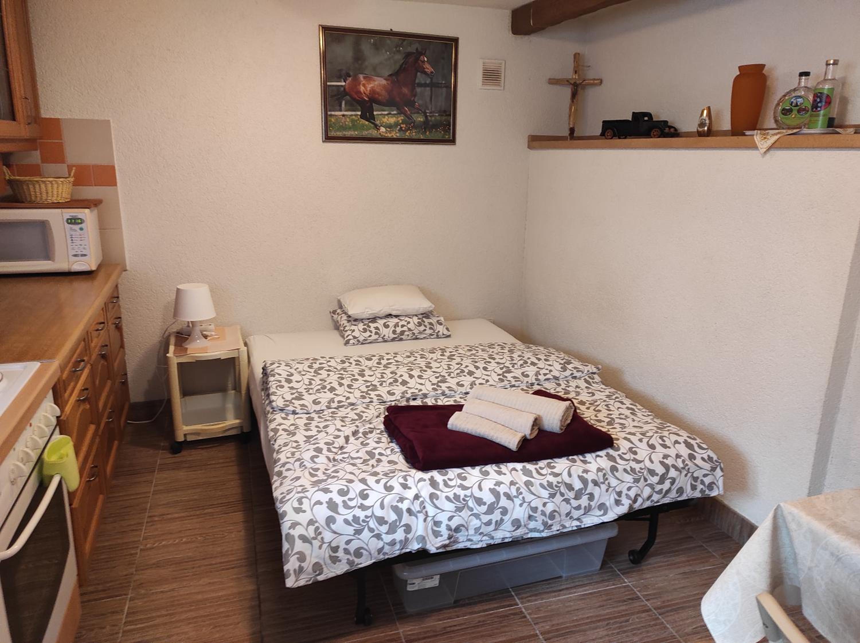 Studio with Sofa Bed