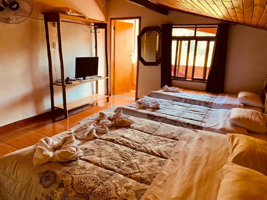 Classic Quadruple Room - Photo 1