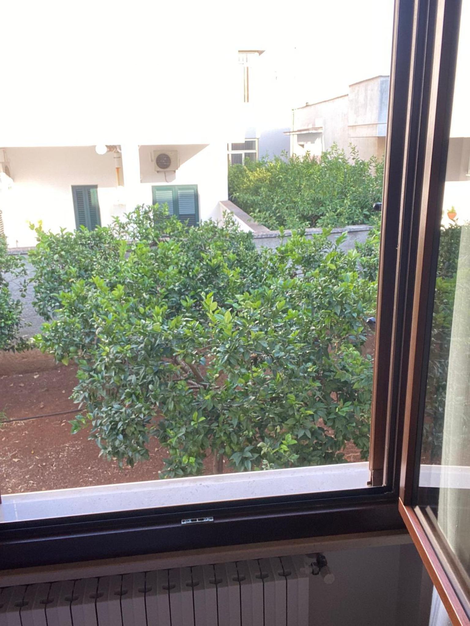 Double Room With Private External Bathroom photo 2