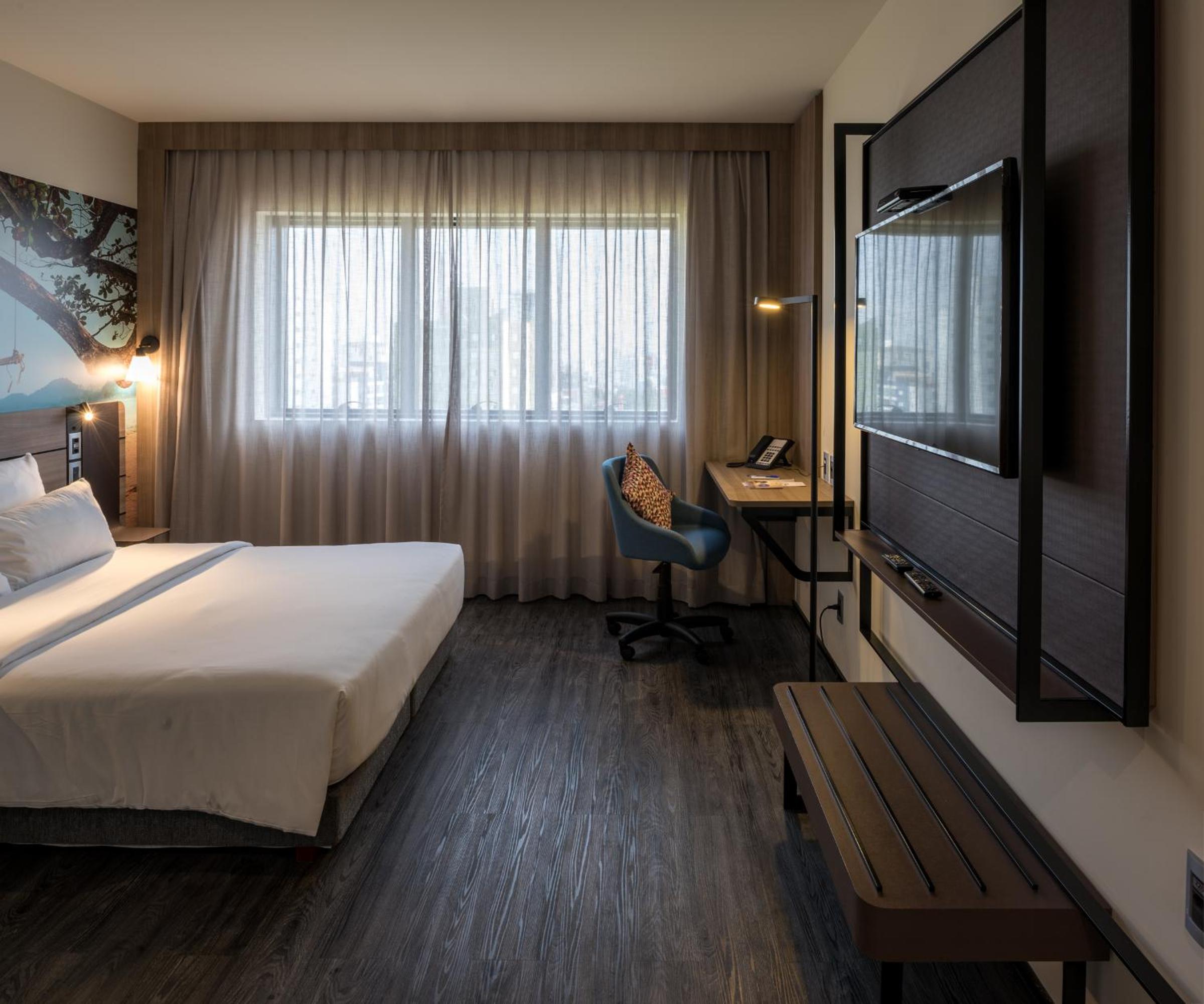 Executive Apartment with Queen Bed