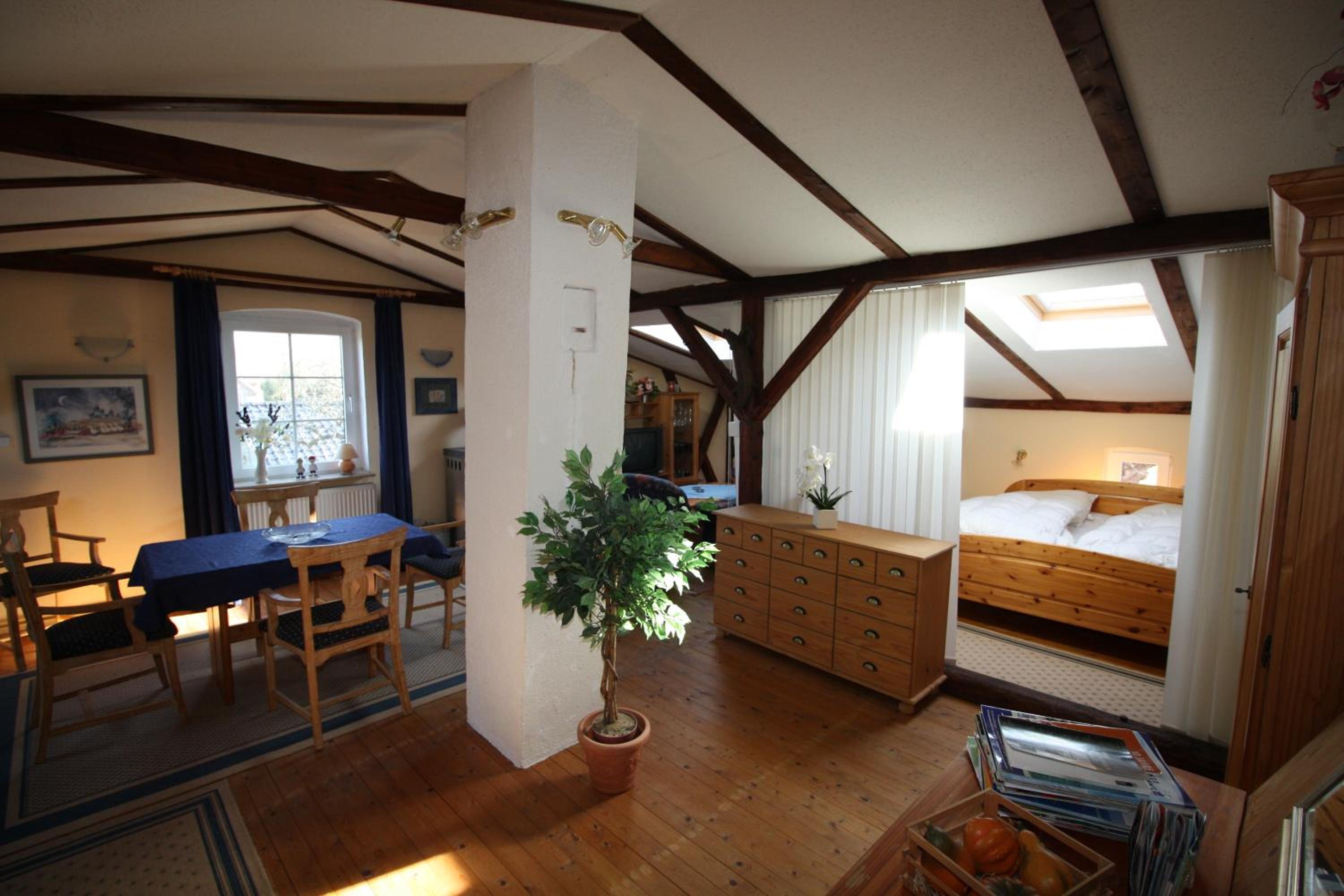 Large Apartment photo 1