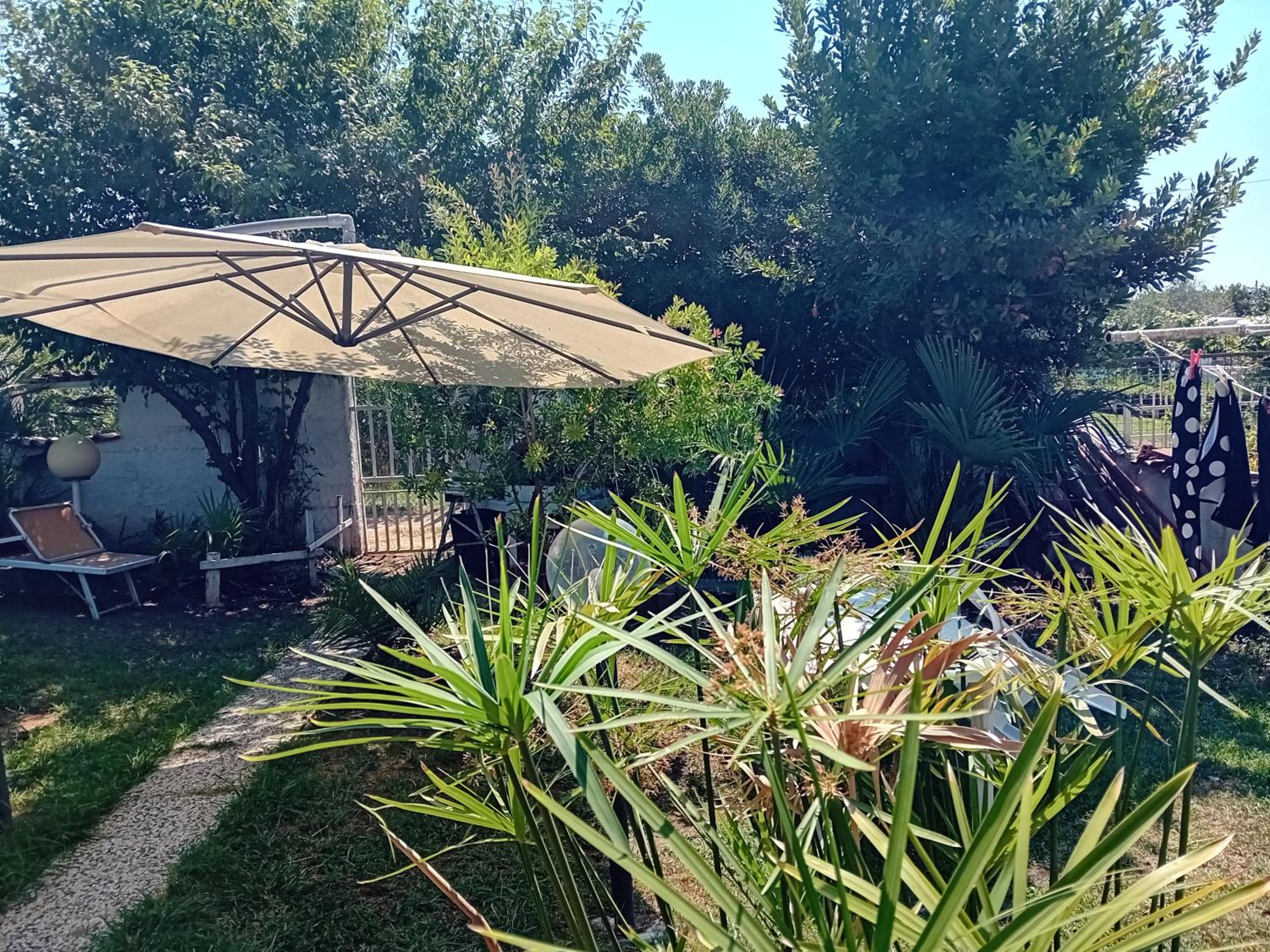 Apartment With Garden View photo 1