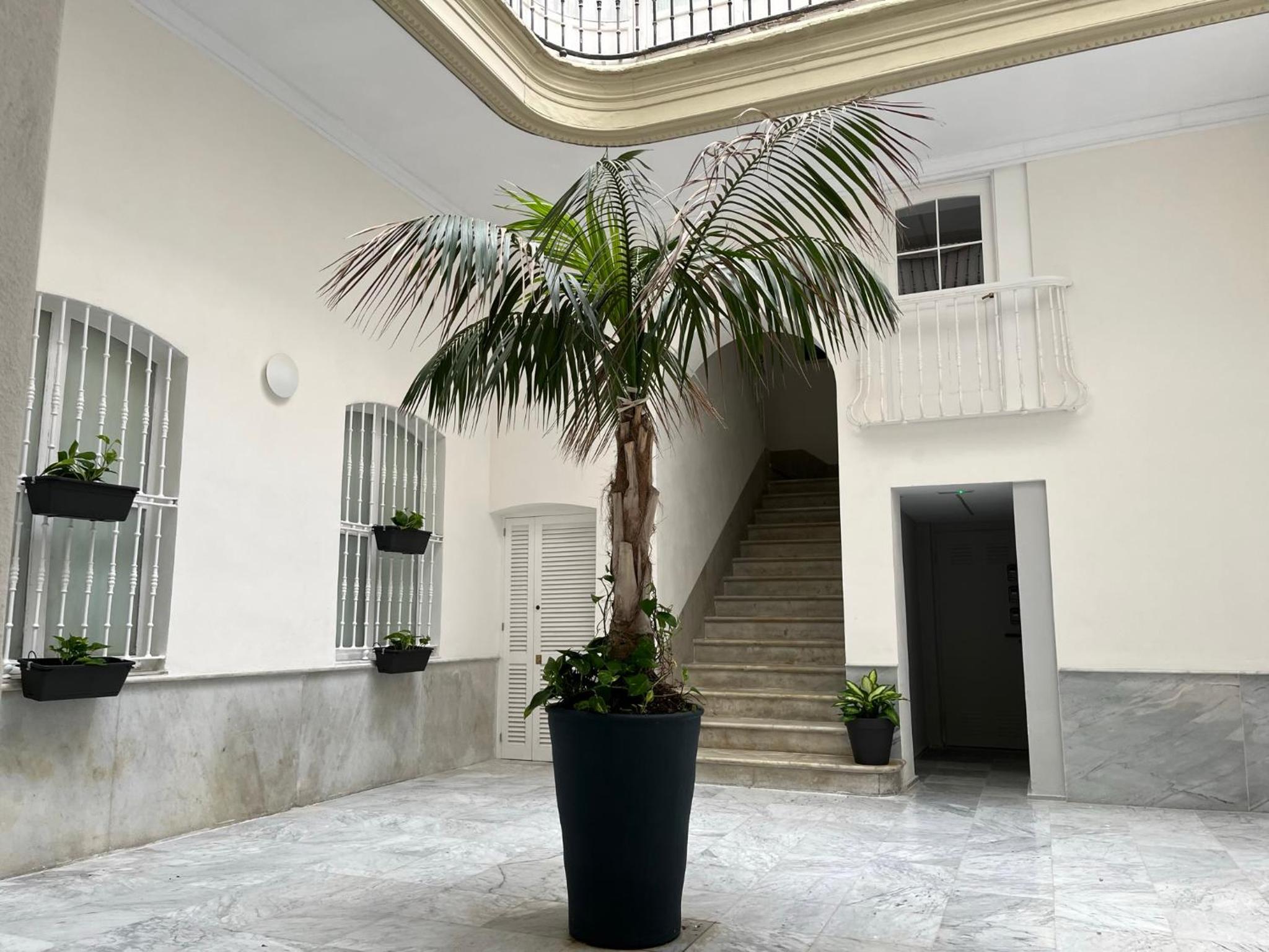 Estudio Amor BRUJO by Cadiz4Rentals, Photo 8