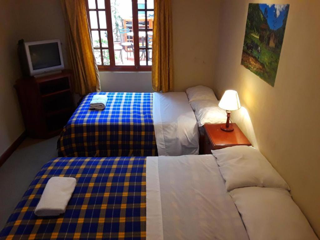 Single Bed in Mixed Dormitory Room