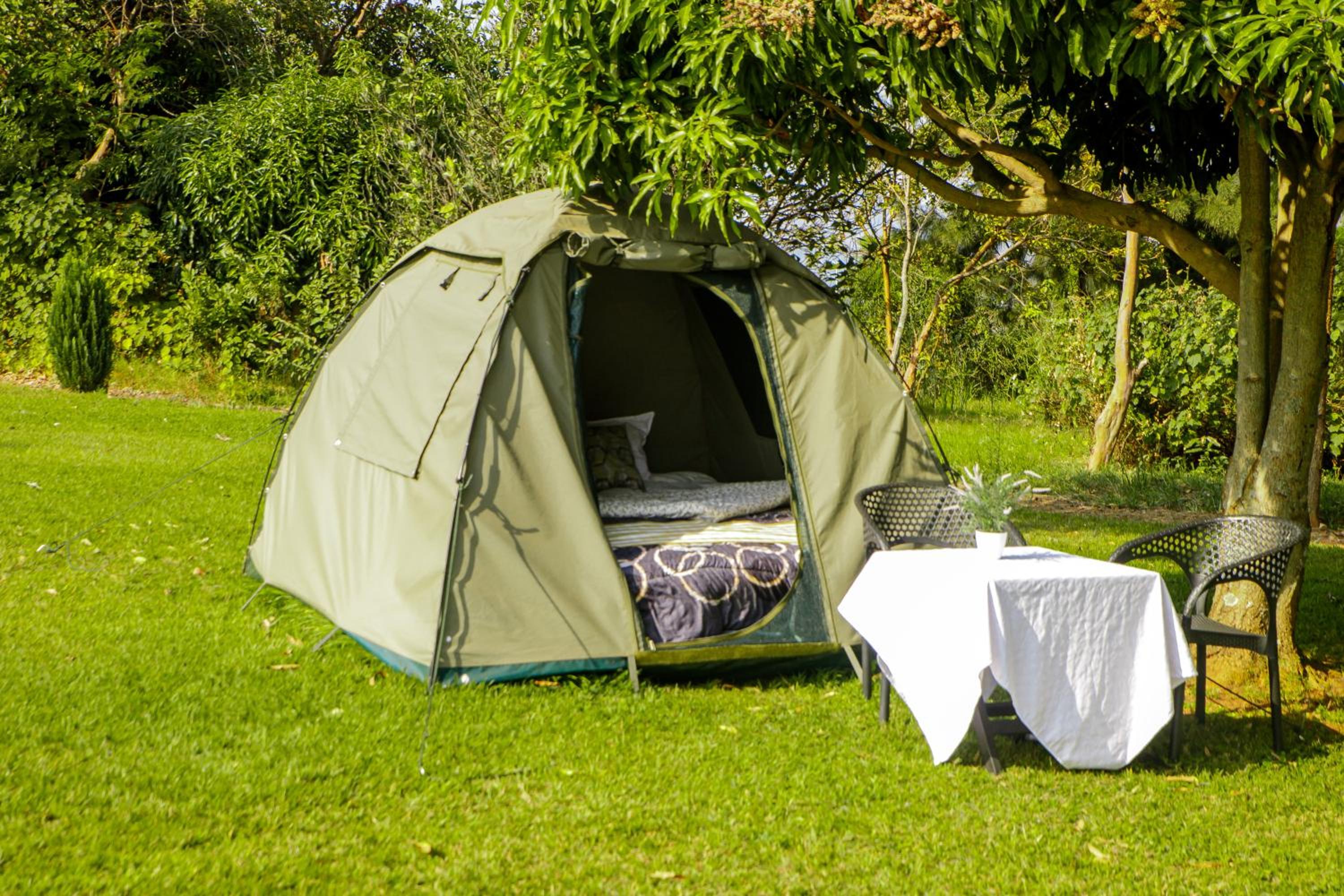 Tent