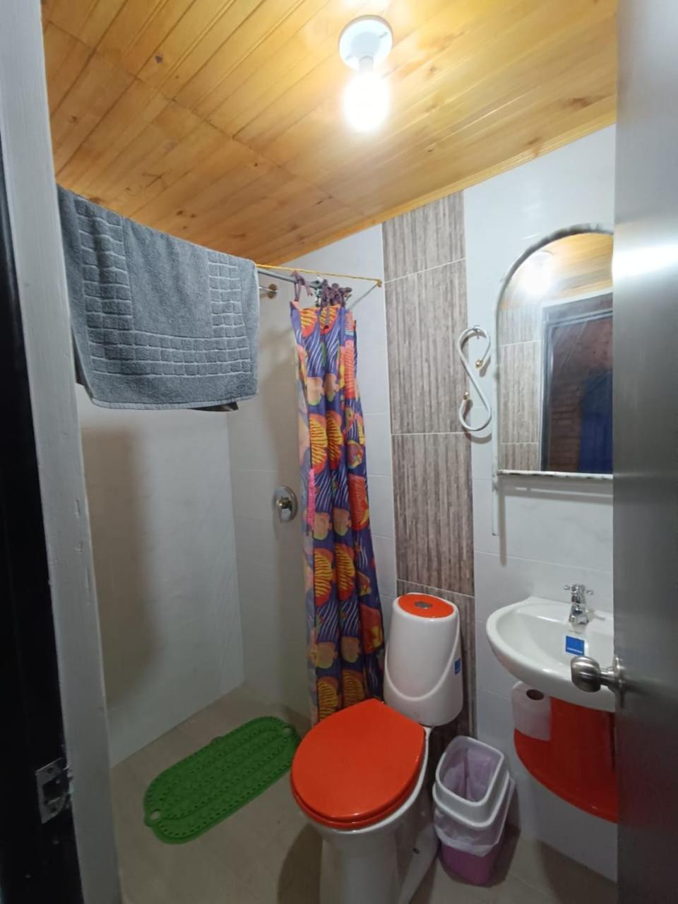 Double Room photo 1