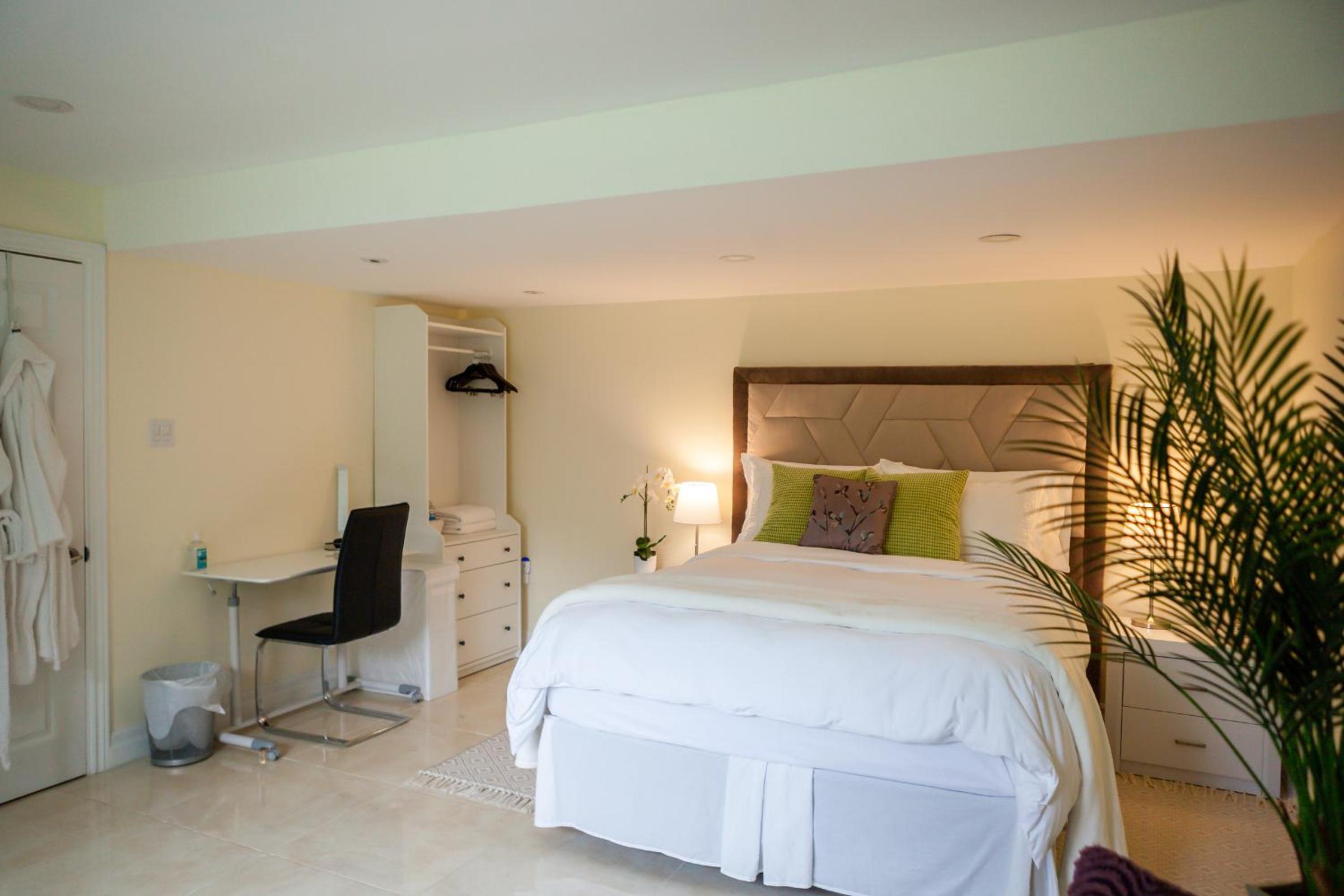 Deluxe King Suite - Photo 10