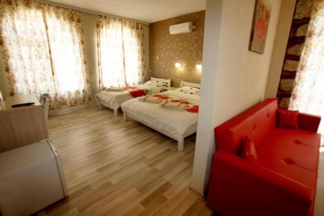 Suite - Photo 1