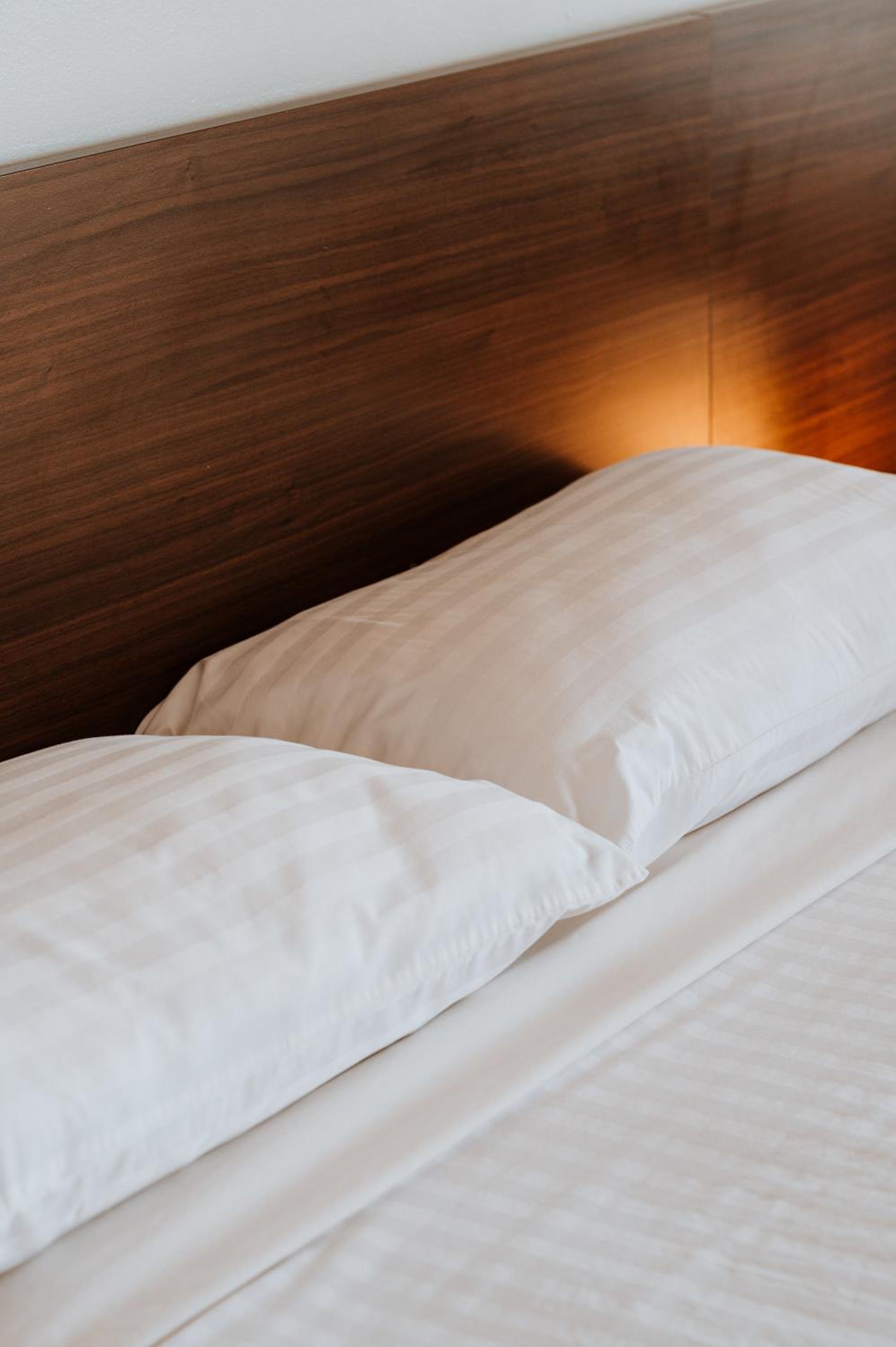 Superior Studio – Eco Green Stay photo 2