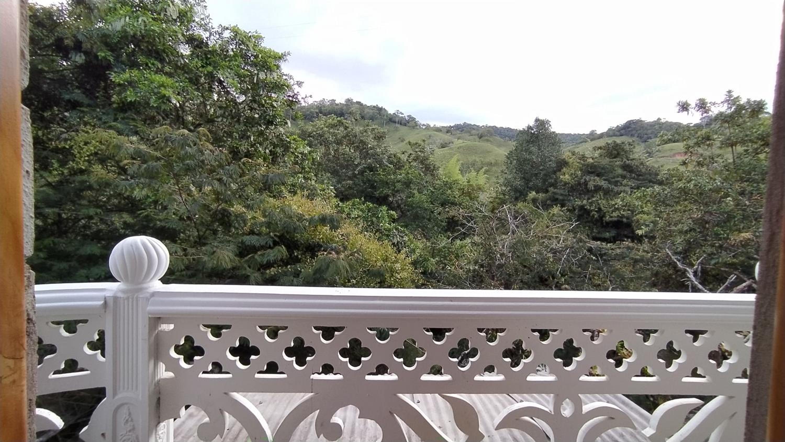 Double Room with Mountain View photo 2