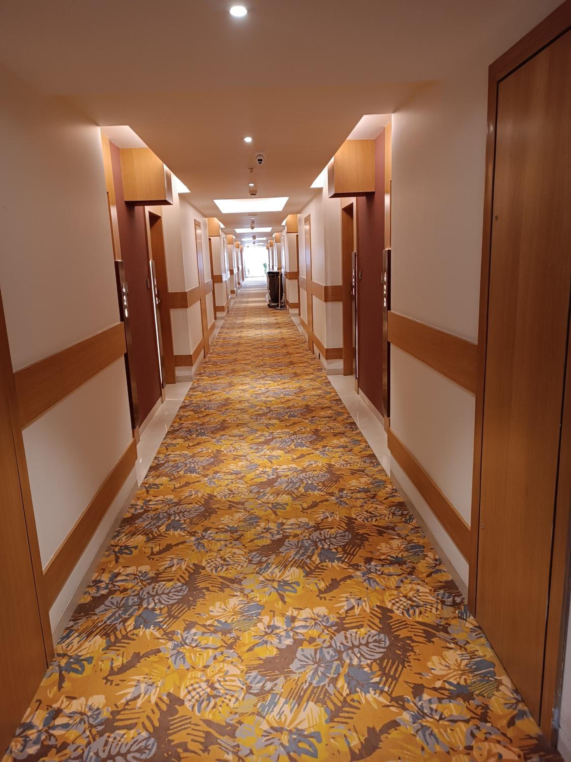 Deluxe Room photo 2