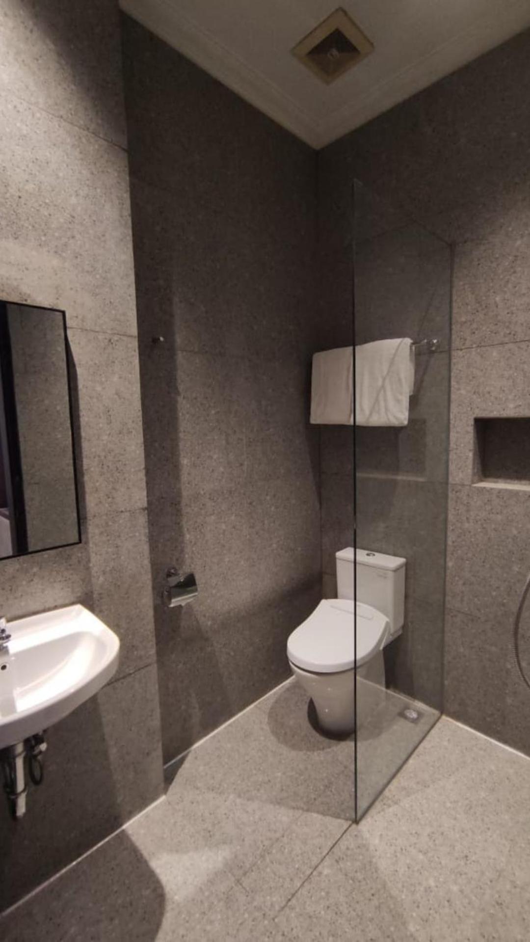 Deluxe Double or Twin Room photo 3