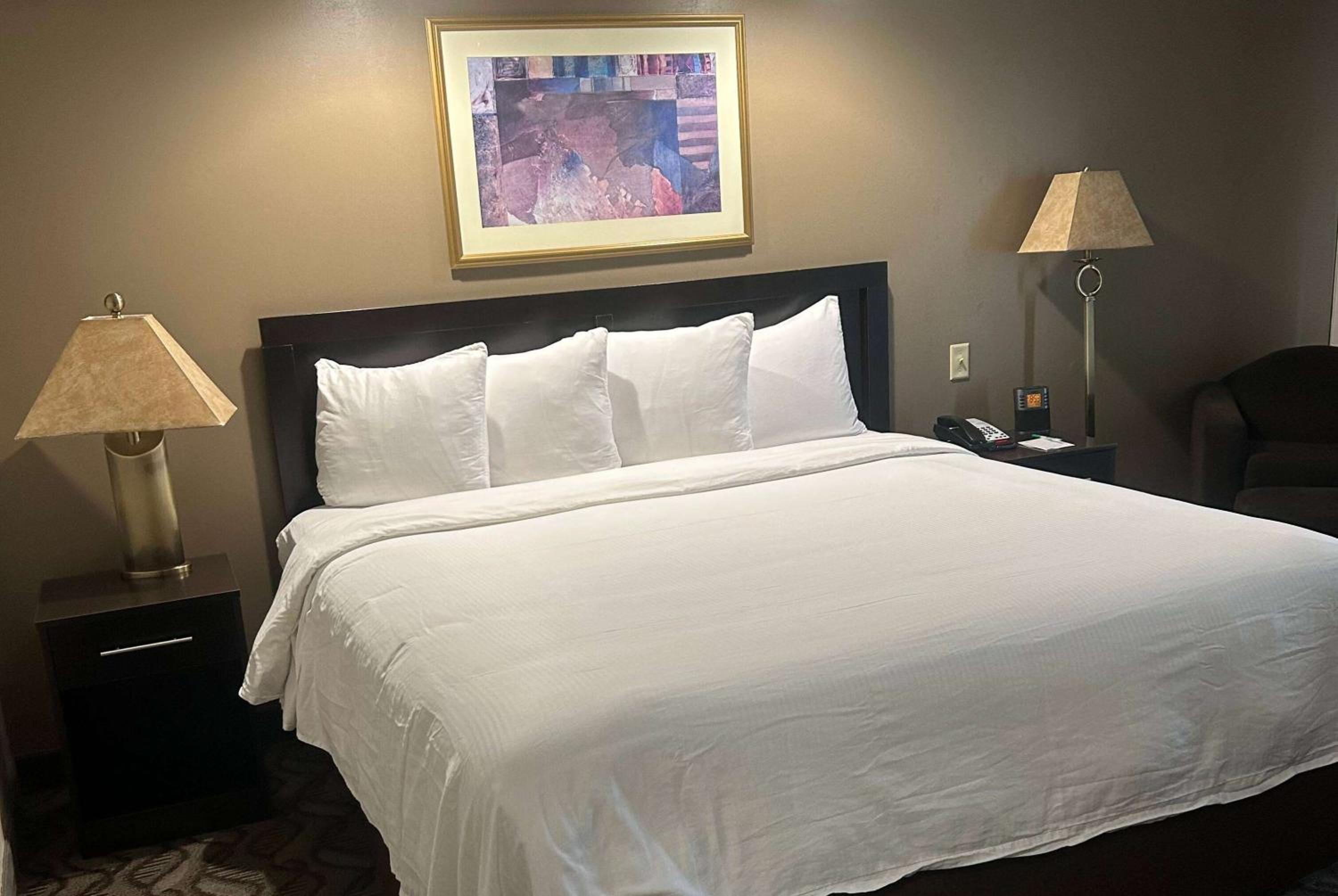 King Suite - Photo 1