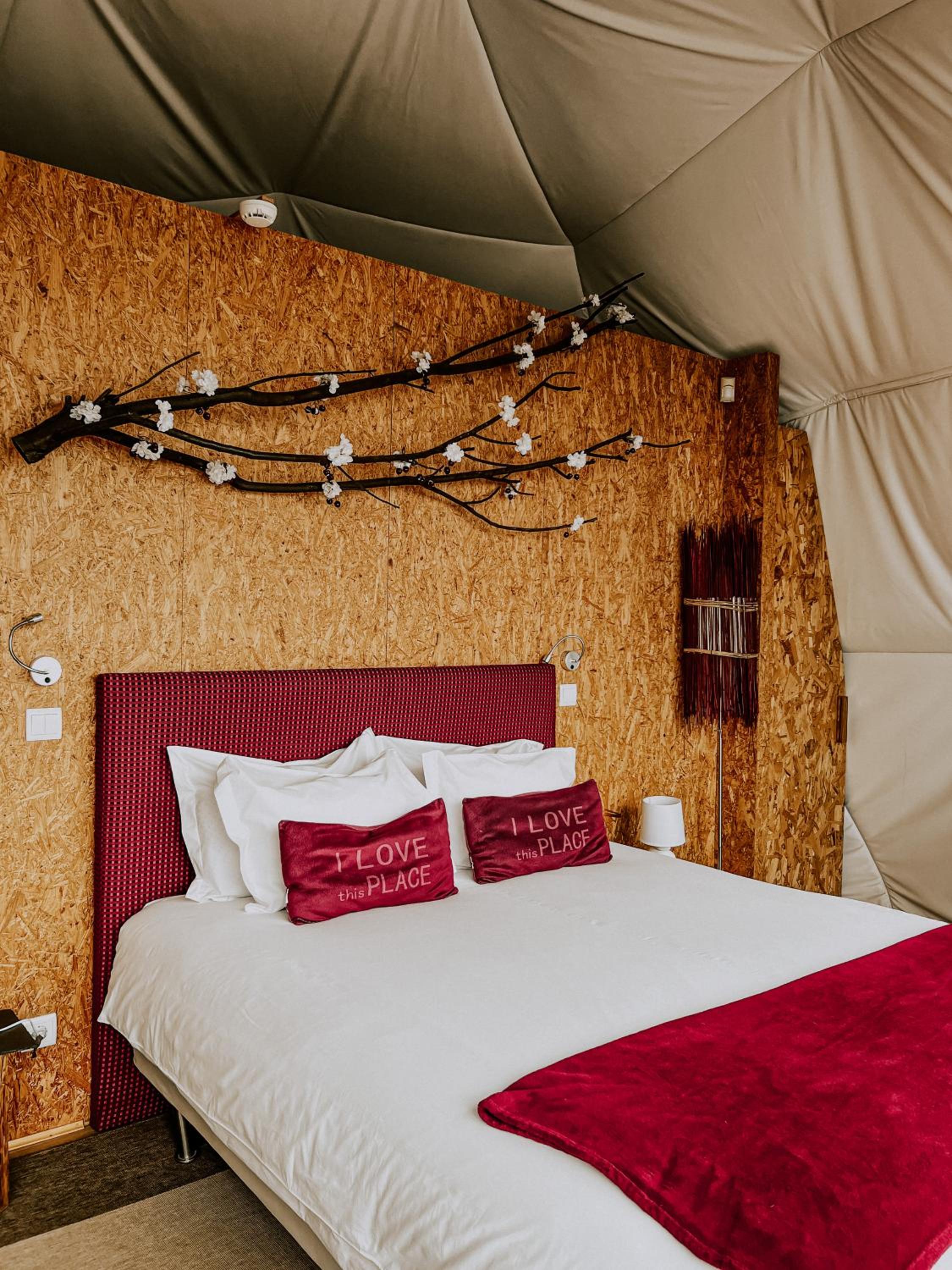 Tent photo 2