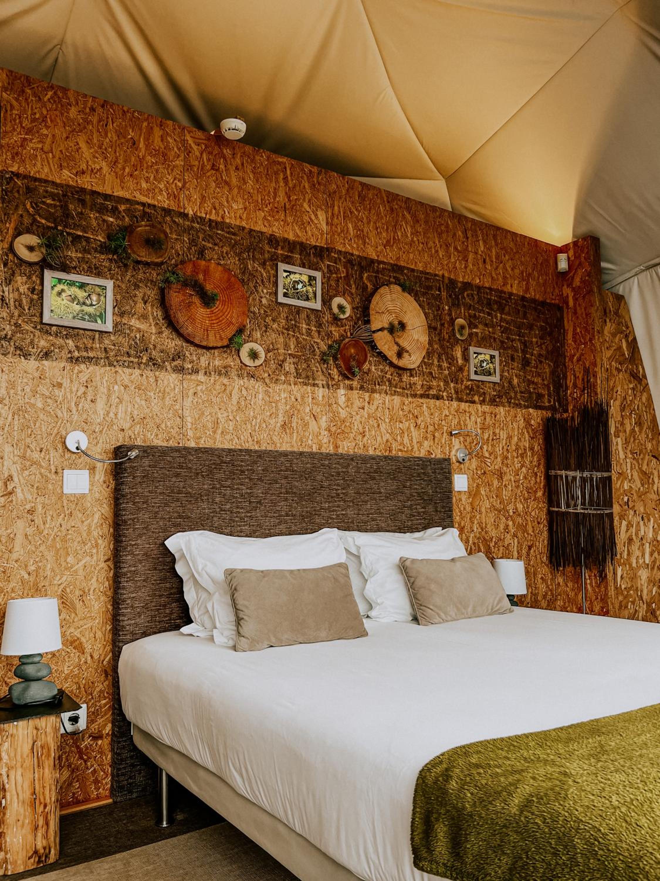 Tent photo 3