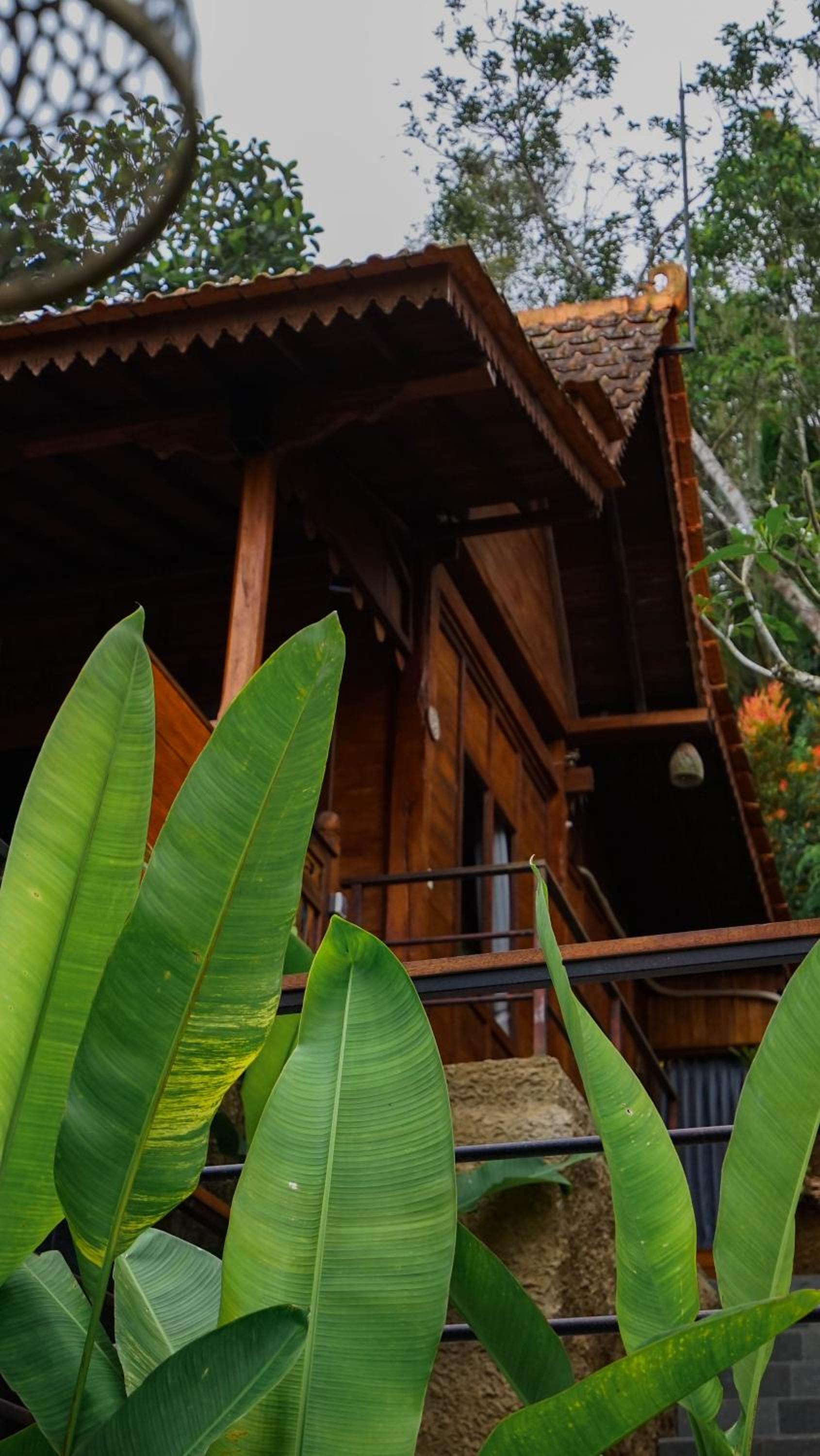 Superior Villa - Photo 20