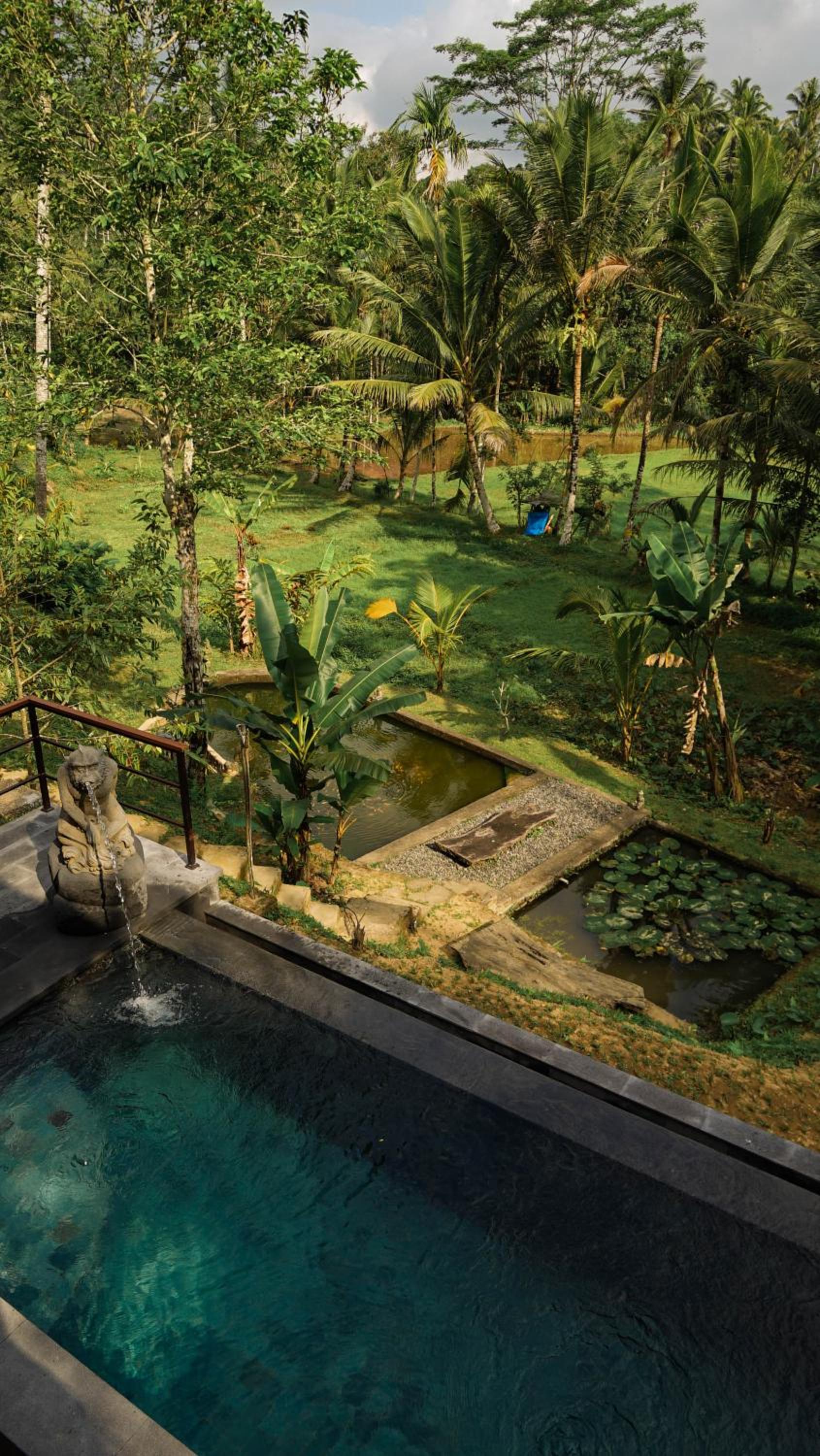 Superior Villa - Photo 8