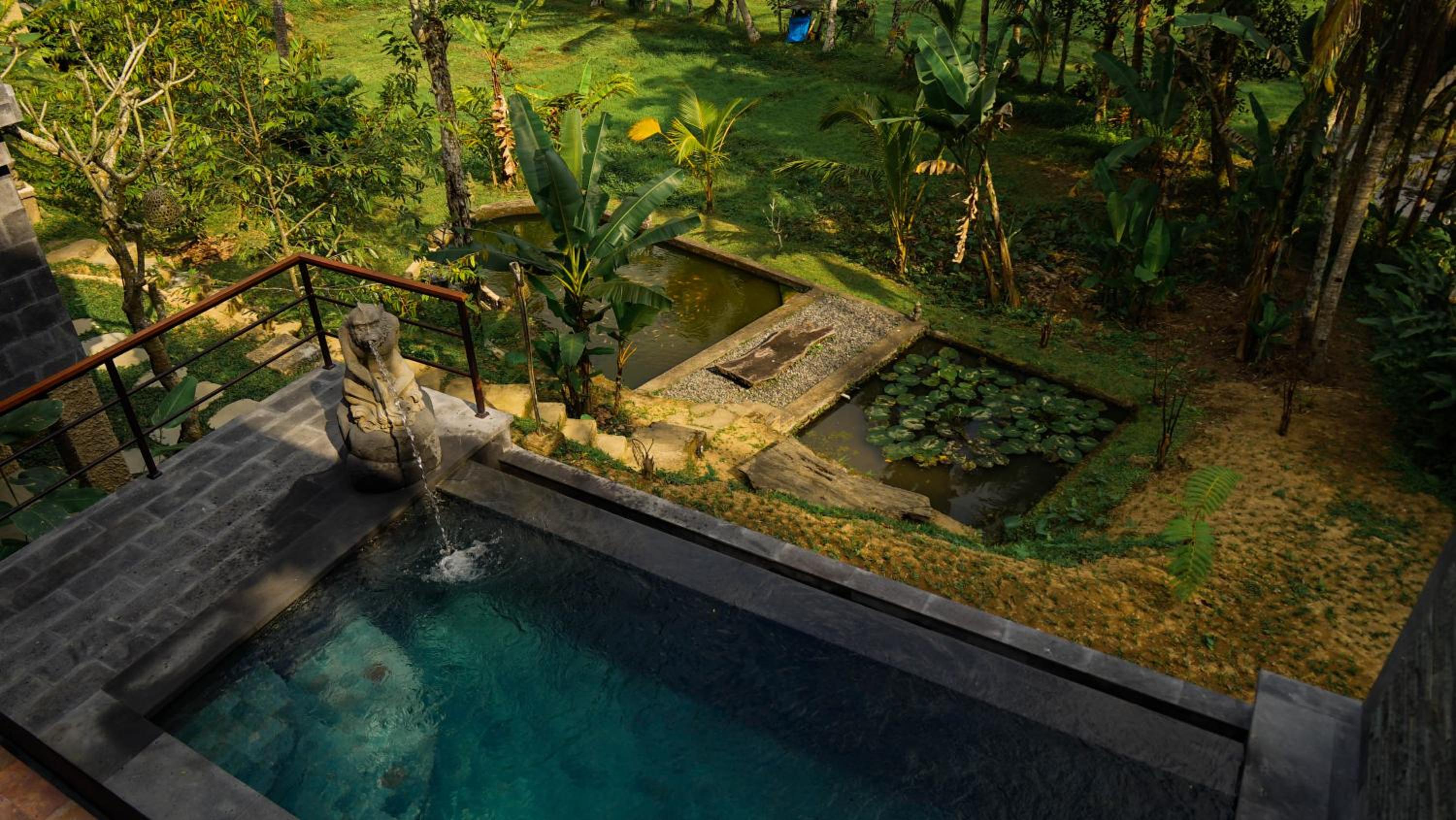 Superior Villa - Photo 10