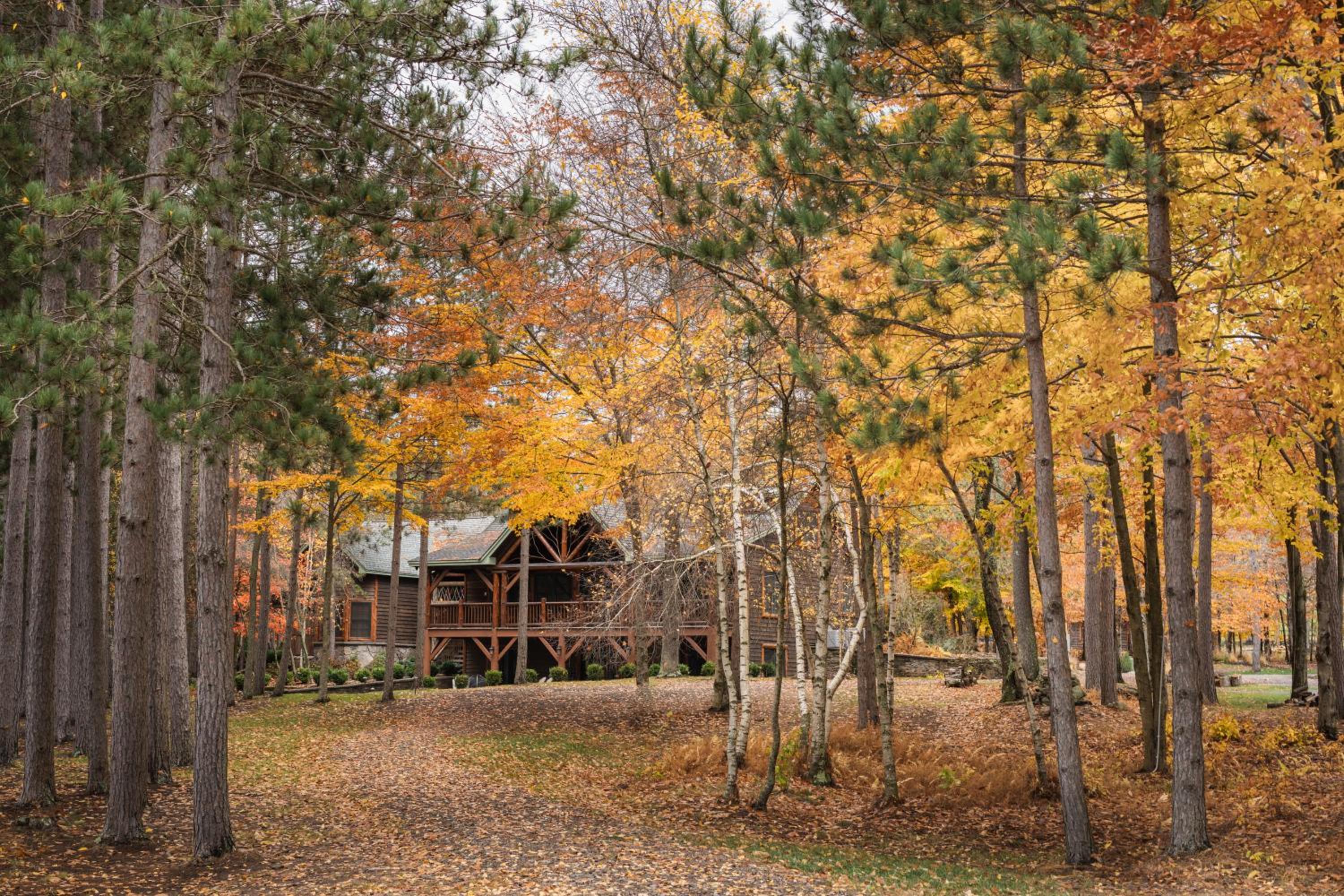 Chapin Hill Suite photo 3