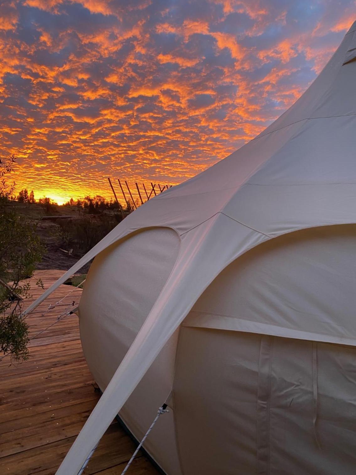 Tent photo 3
