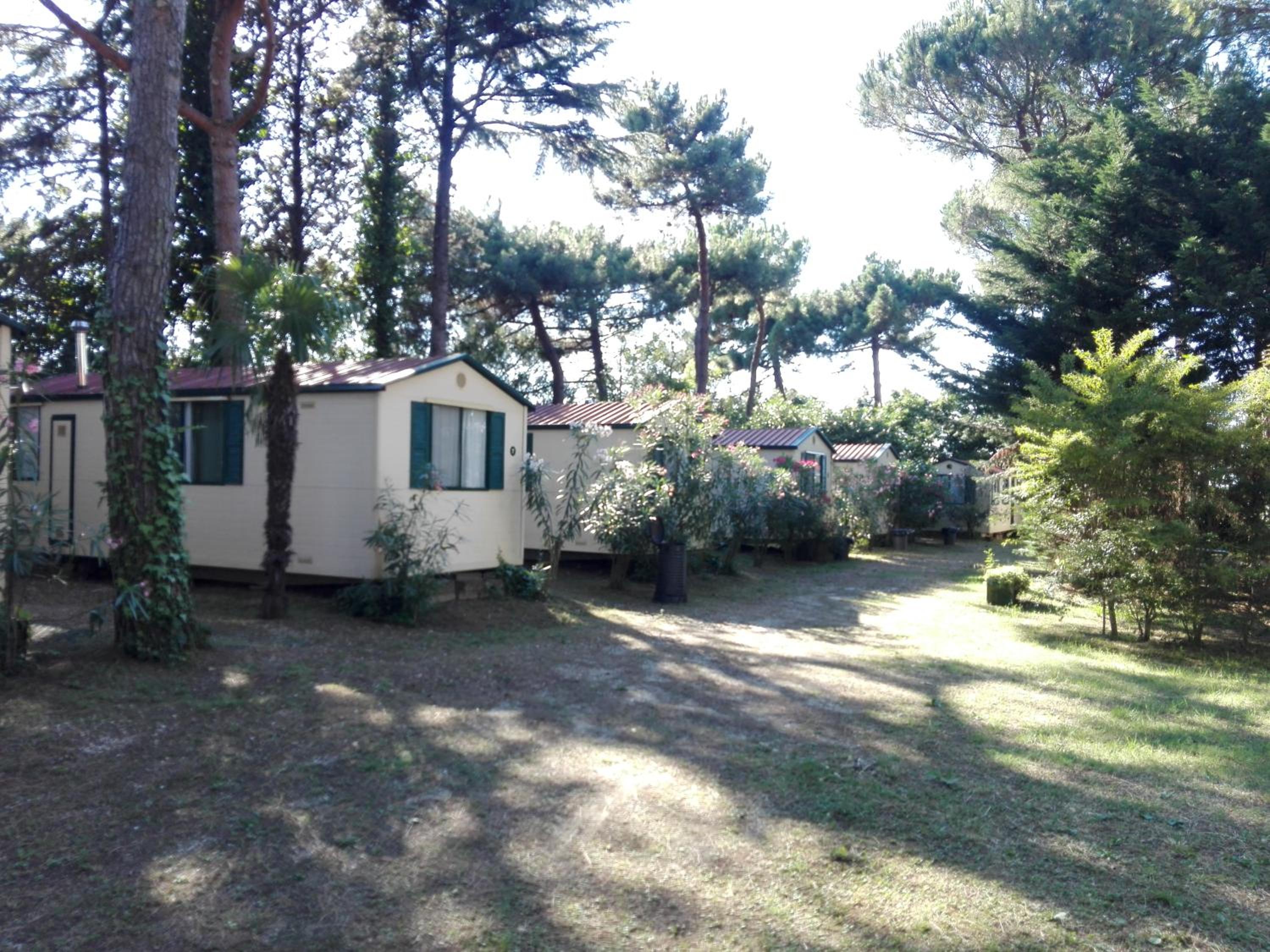 Empty Lot - Photo 4