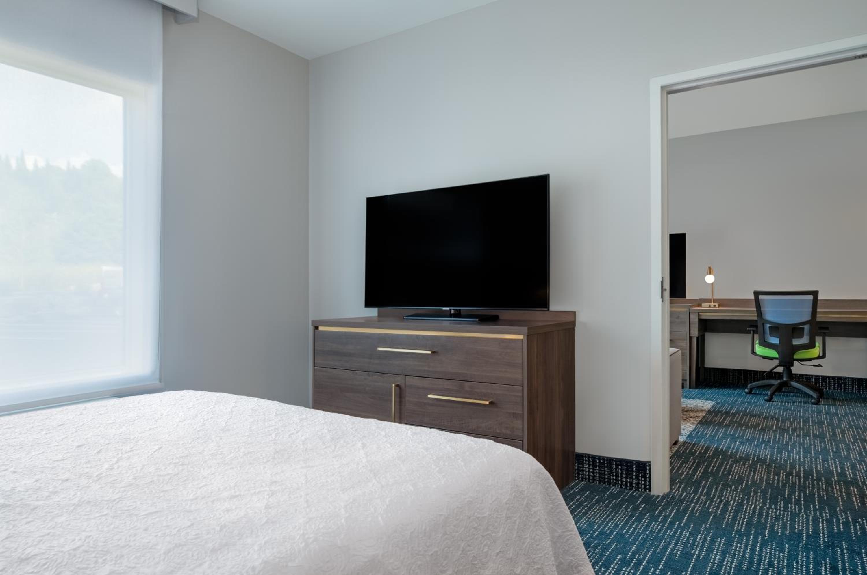One-Bedroom Queen Suite with Sofa Bed - Photo 1